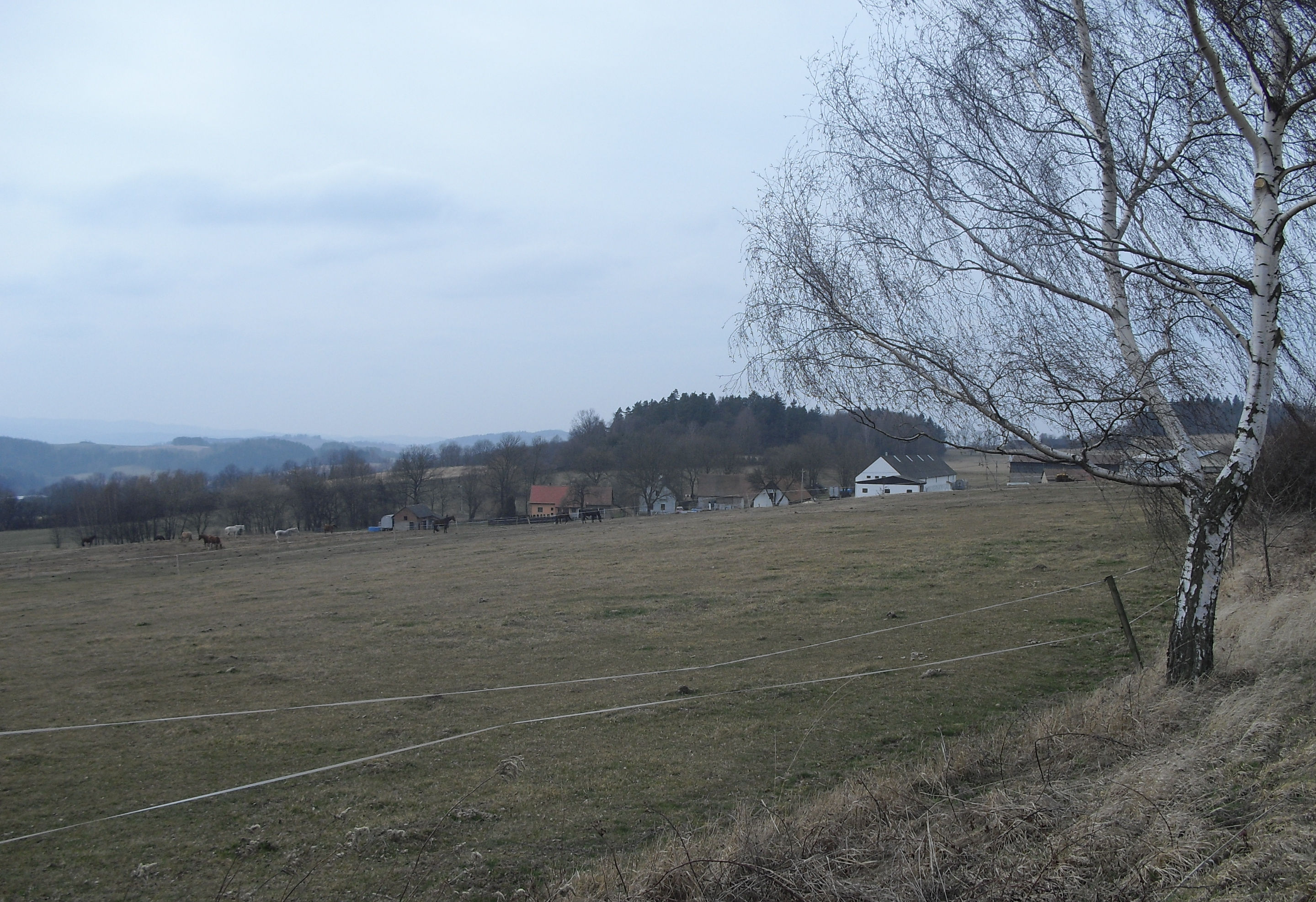 Statek Voleveč foto 2