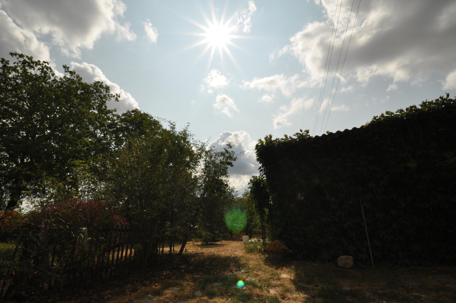 Petra Kopecká - Hotel pro psy v přírodě foto 3