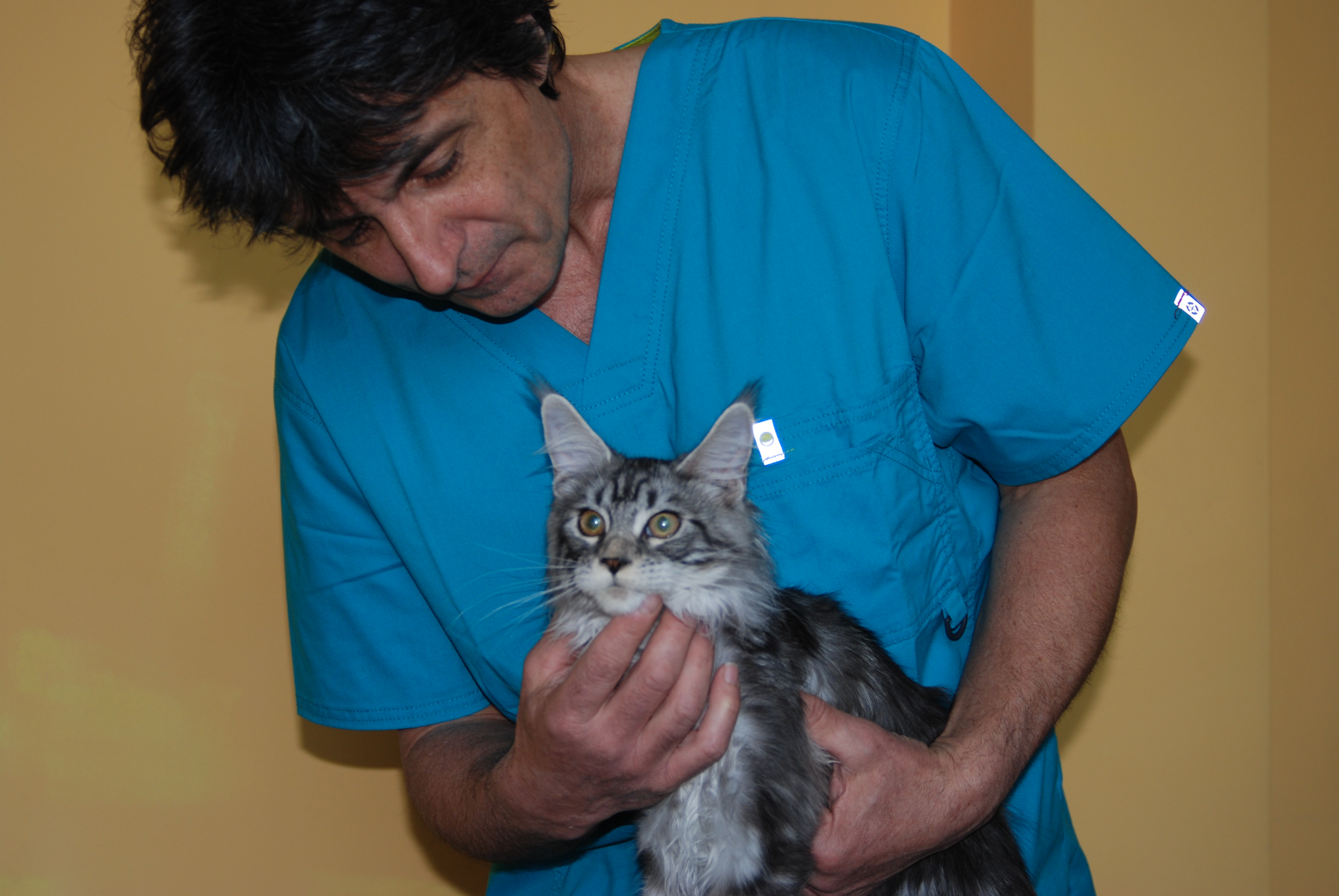 Horská veterinární klinika foto 2