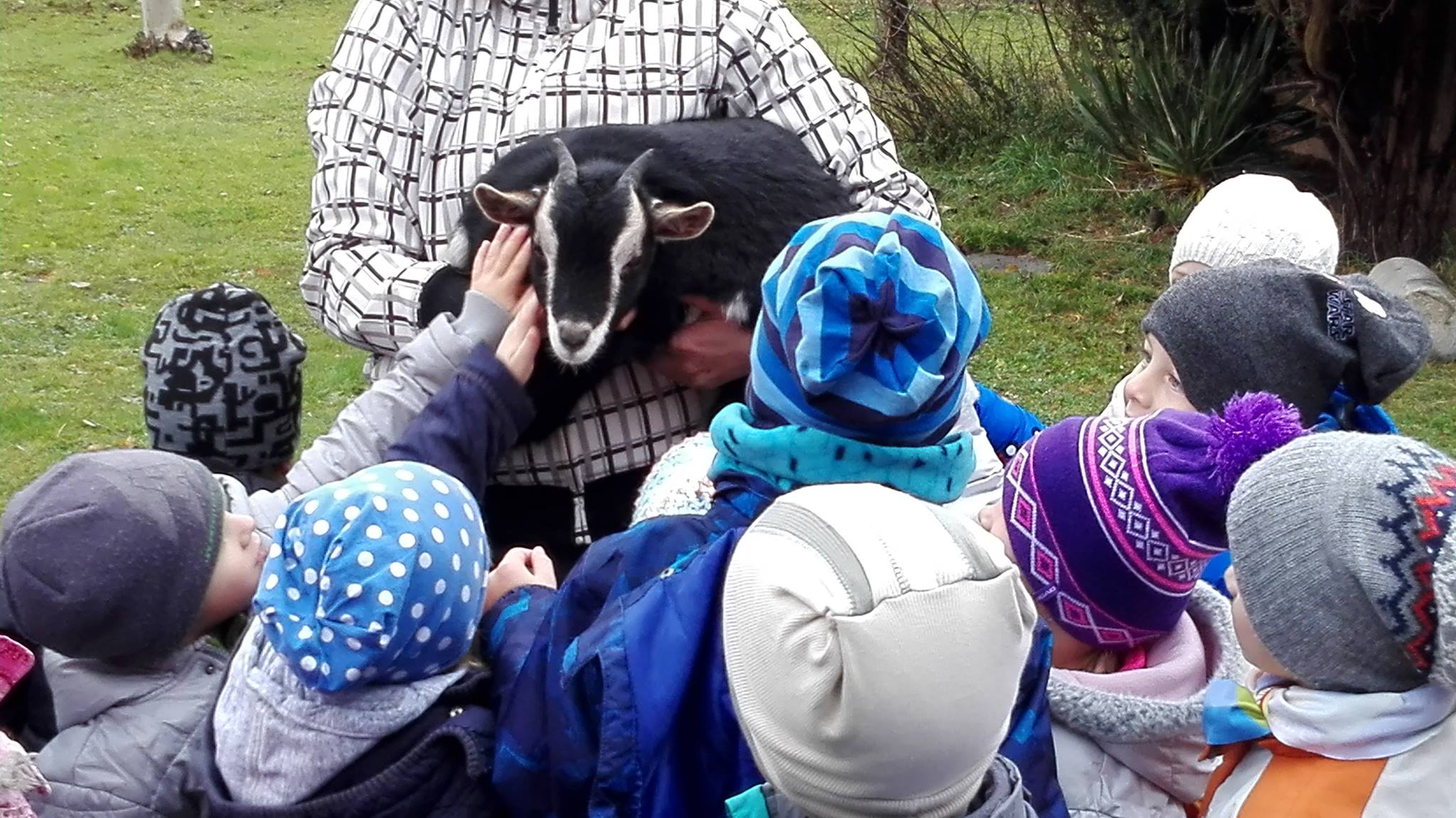 Farmářská školka Skřítek foto 4