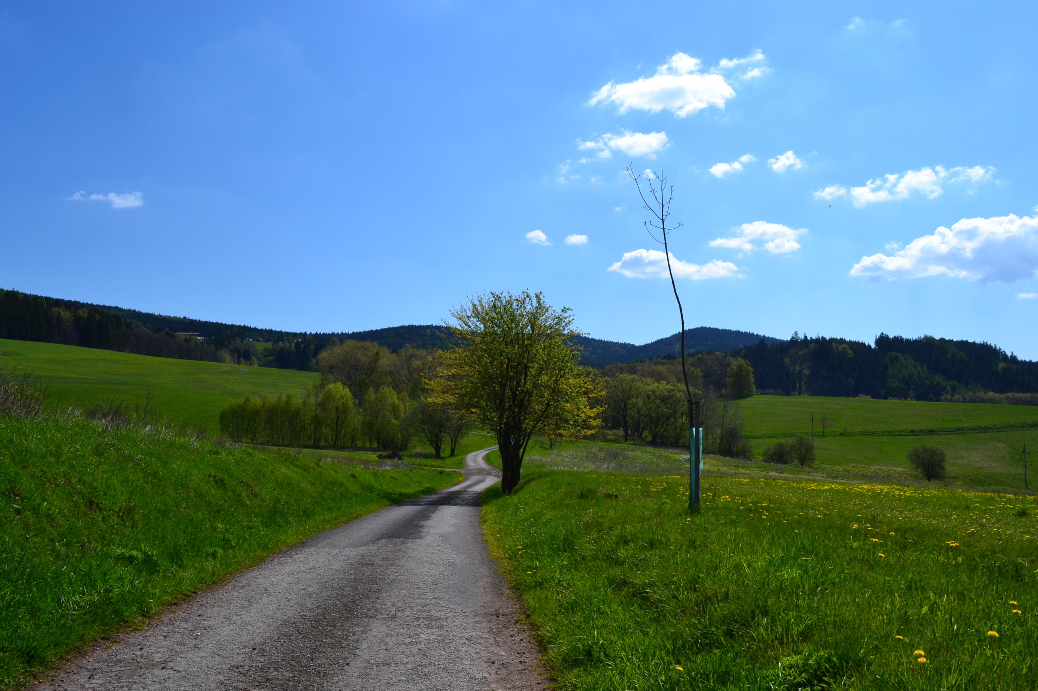 D.A.M.A. Broumovsko s.r.o.