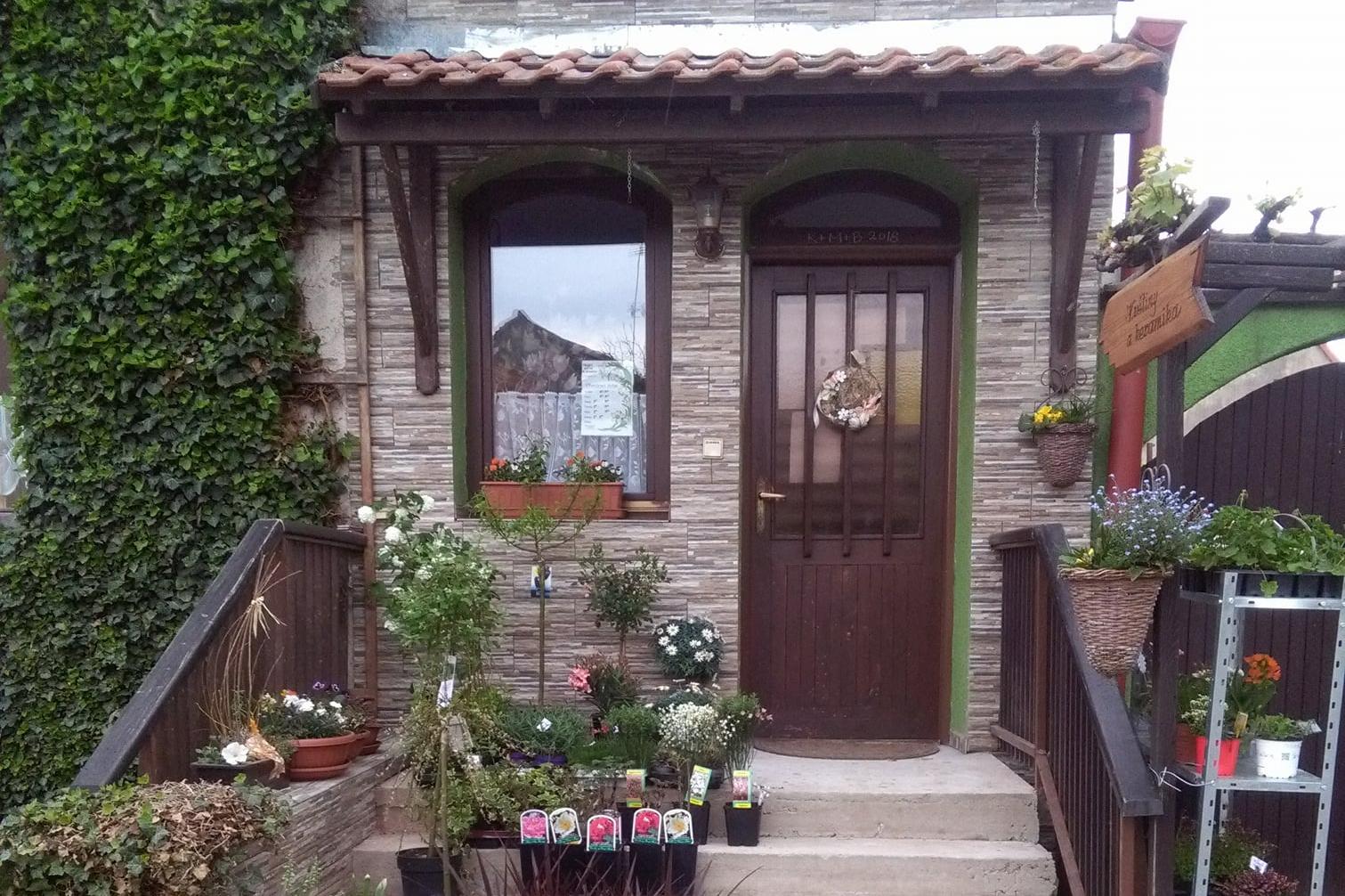 Květiny Lechovice - Eliška Krátká foto 1