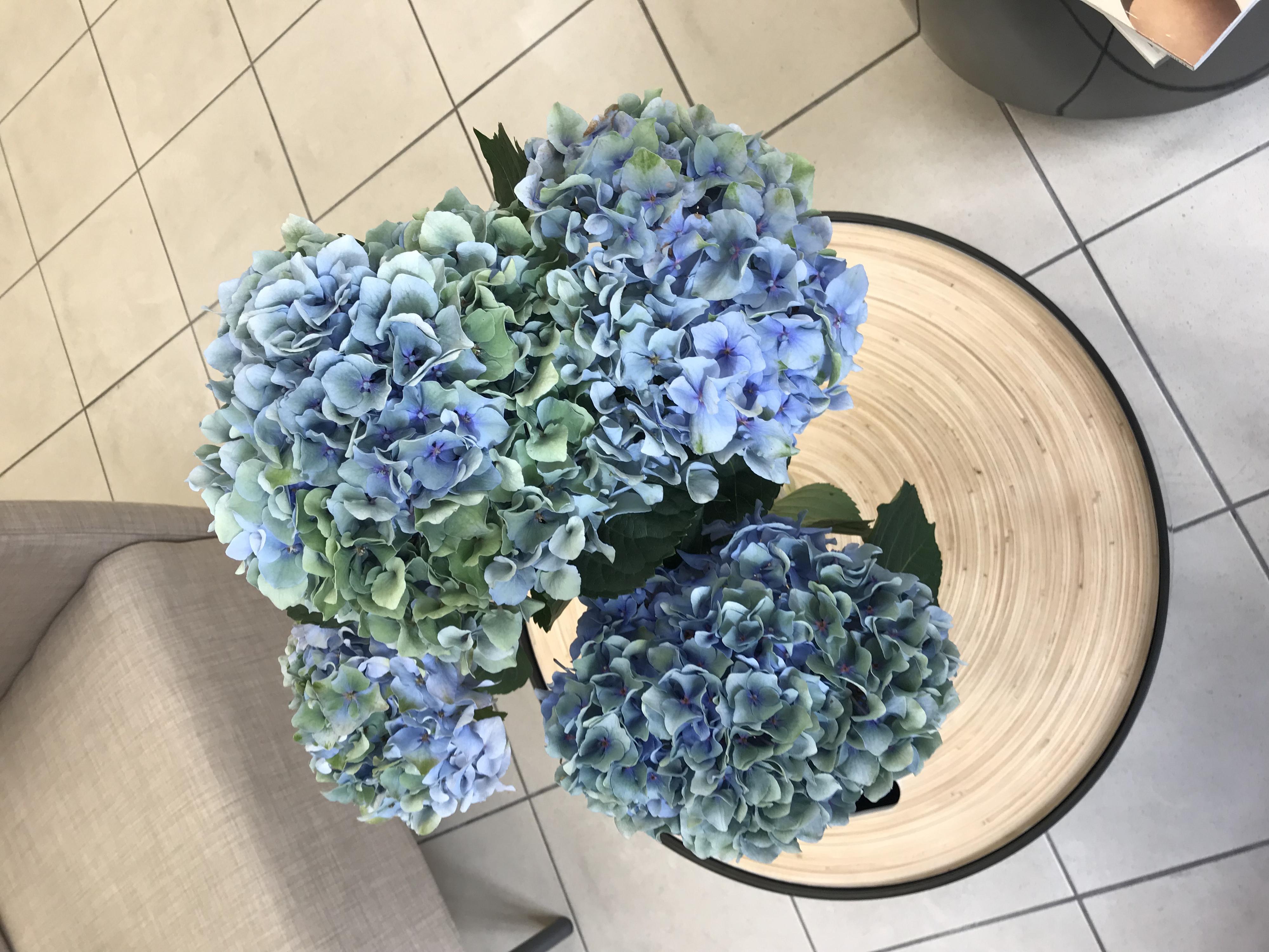 Libor Smrž hair foto 4