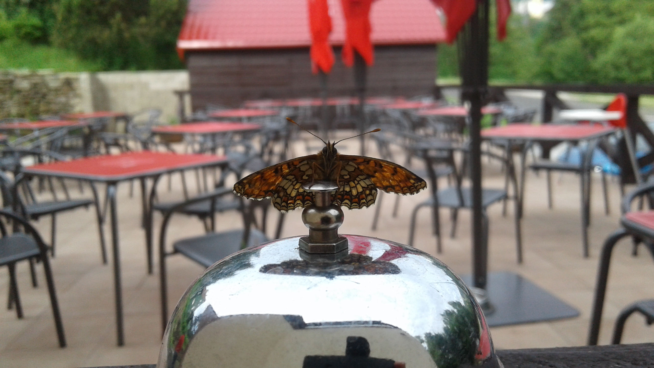 Penzion Koruna foto 3