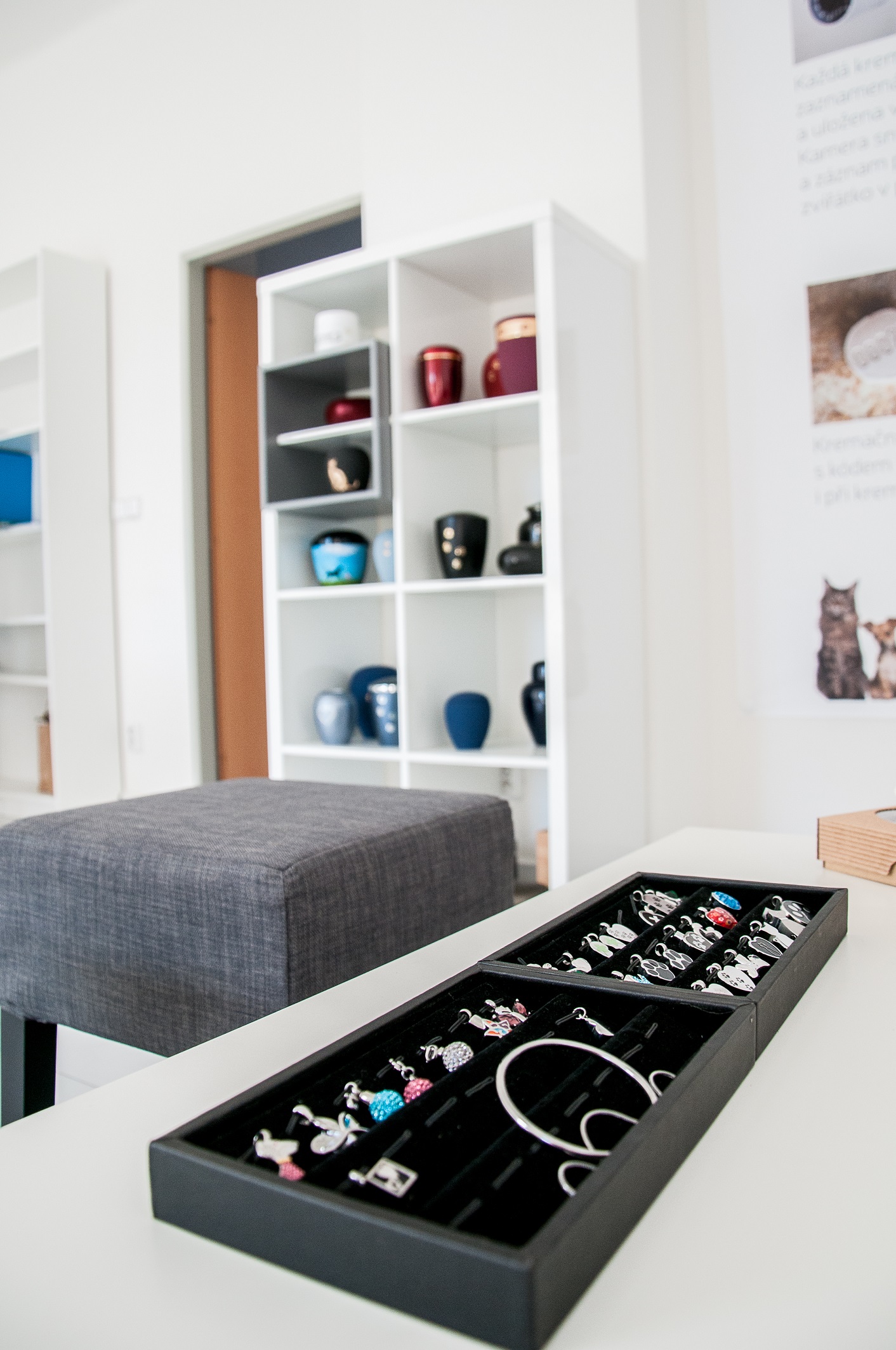 Kremace zvířat Plzeň foto 3