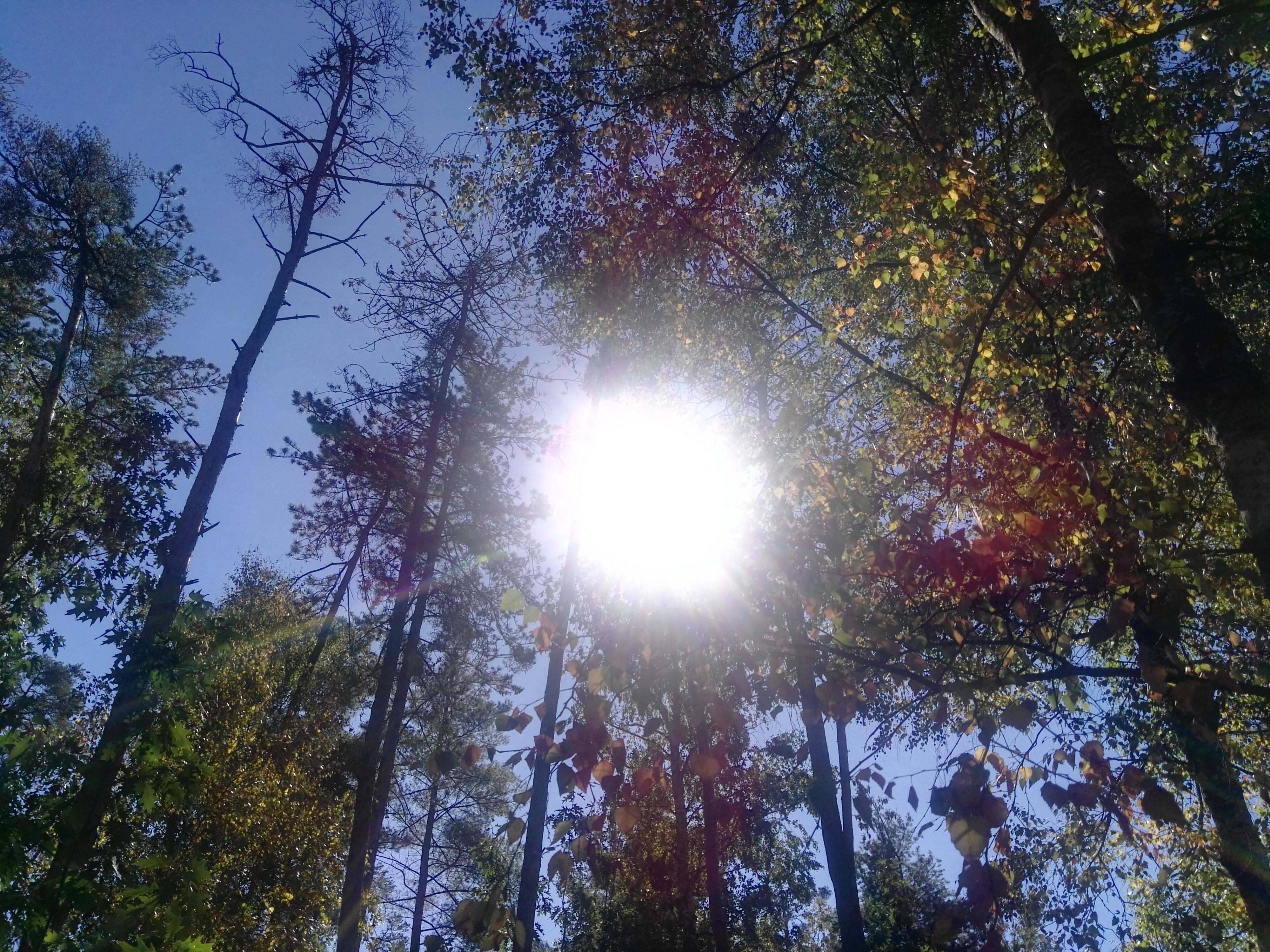 Tábořiště Semín foto 2