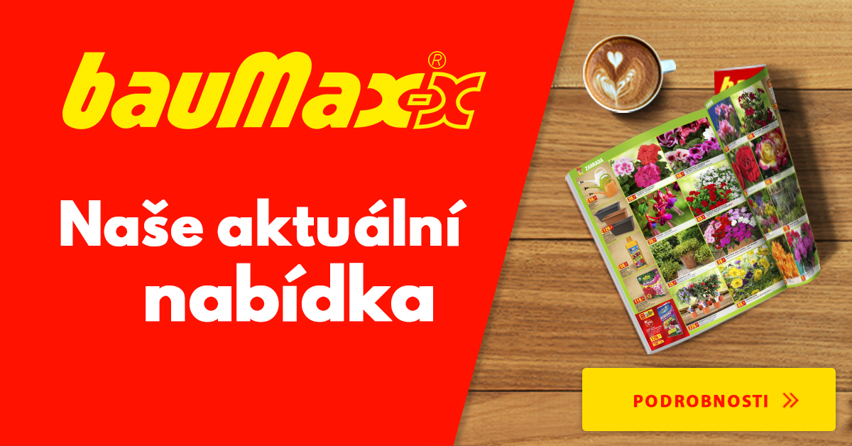 bauMax foto 2