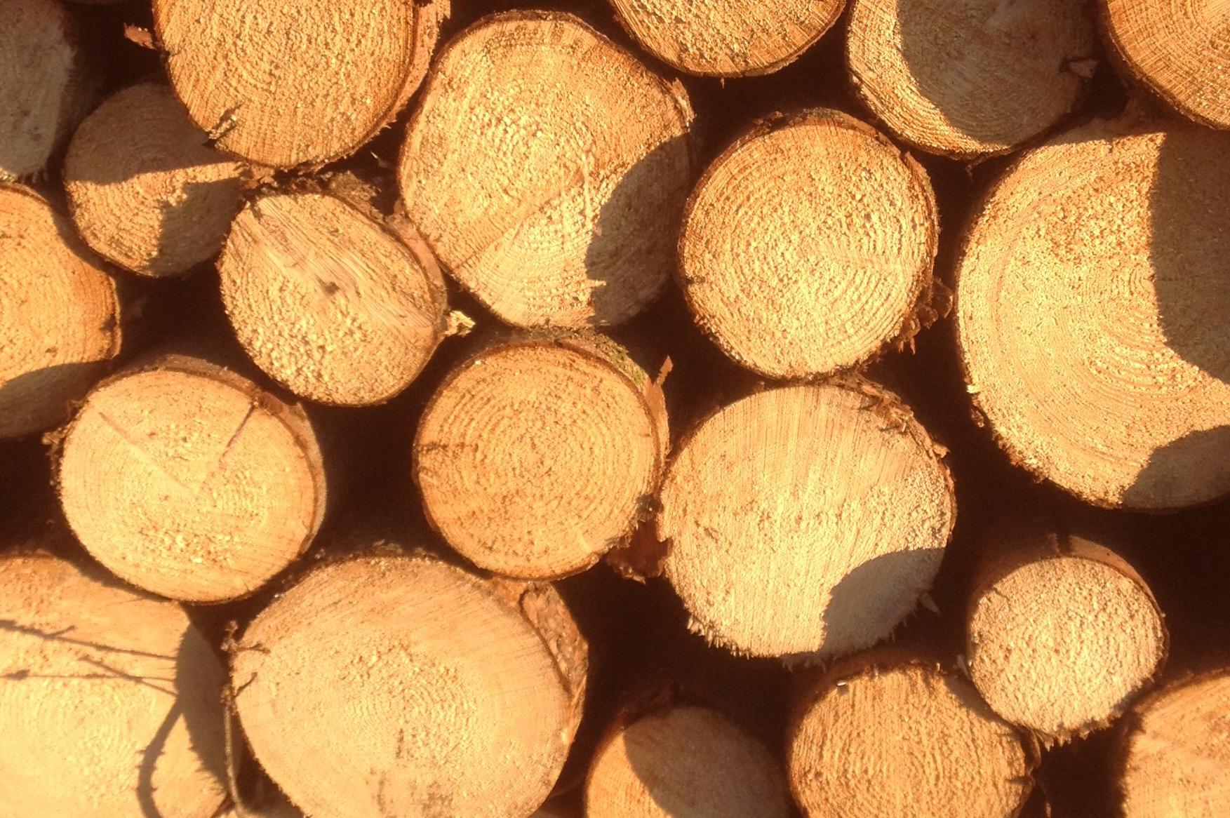 Palubkové dveře Josef Jurošek