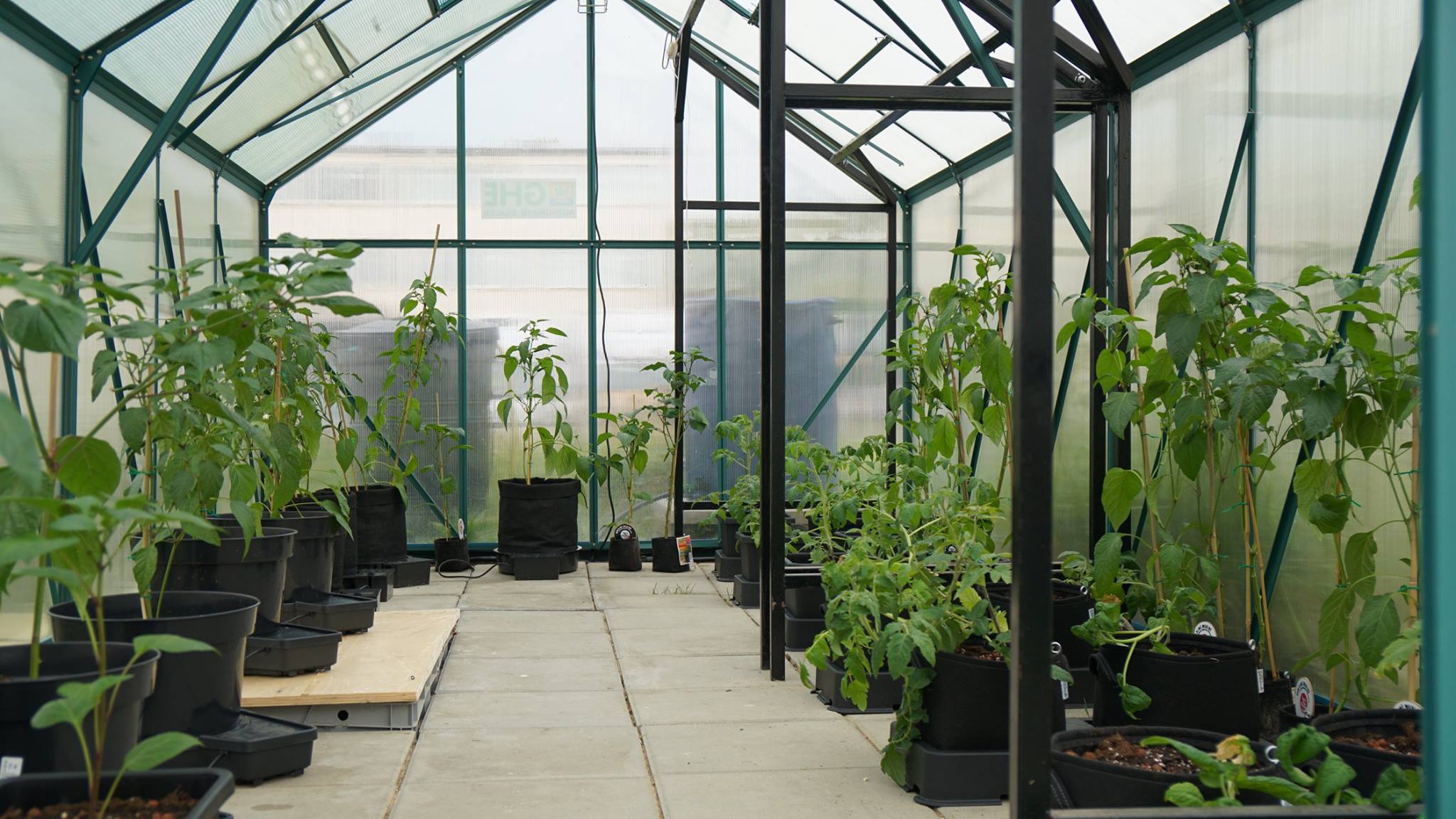 growmarket.cz foto 2