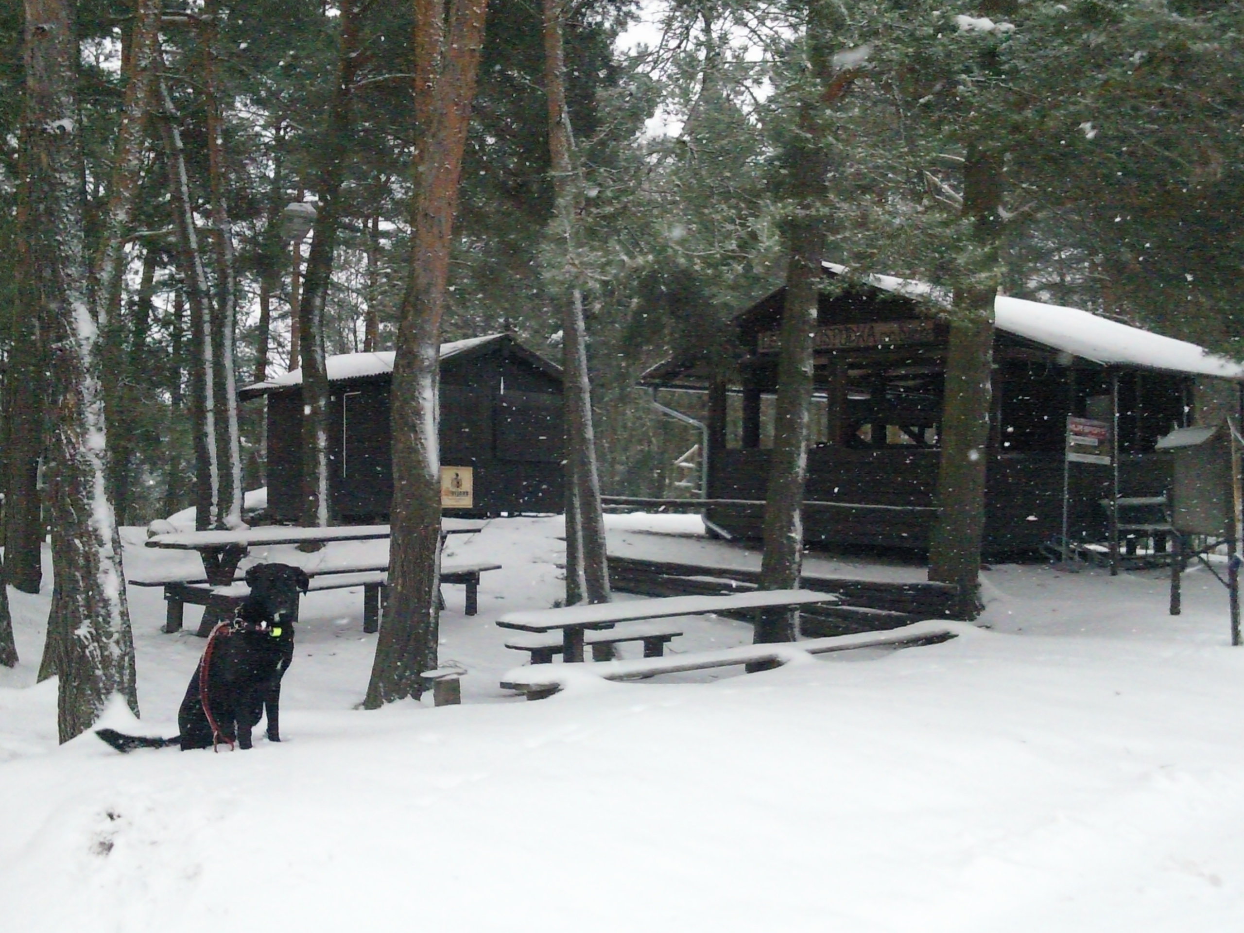 Lesní hospůdka Na Skalce