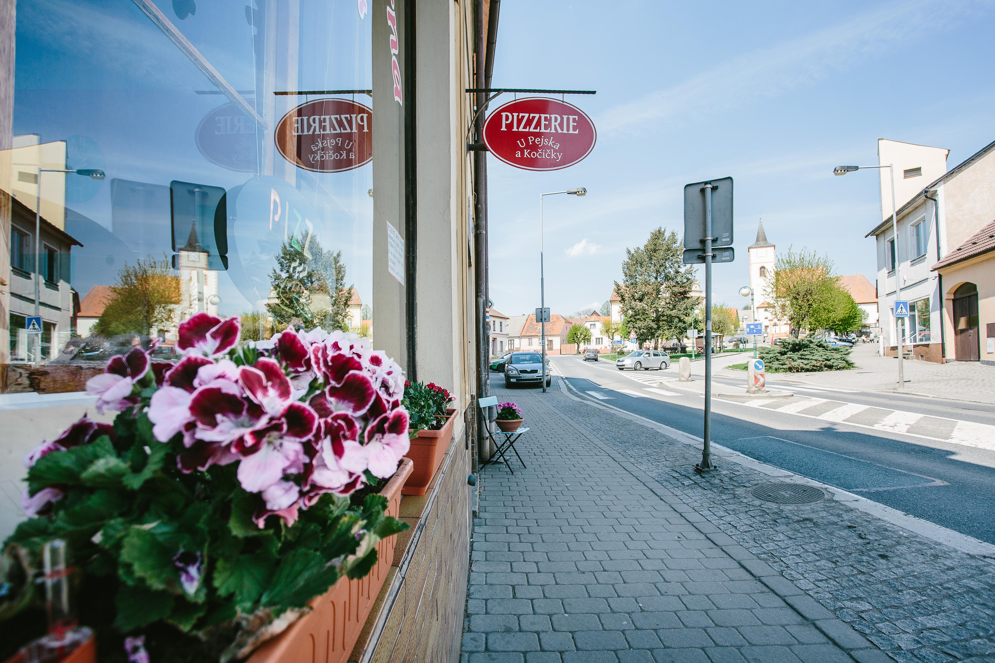 Pizzerie U Pejska a Kočičky foto 2