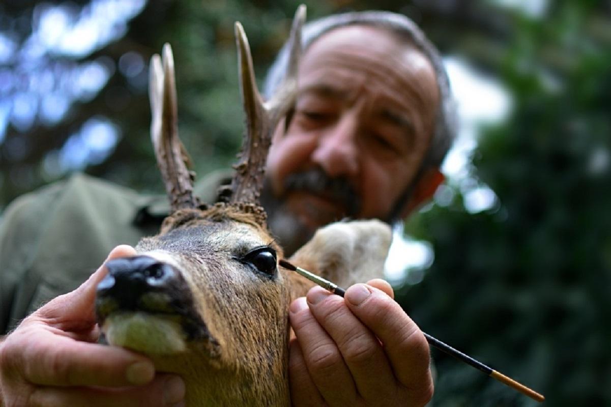 Preparace zvířat - Jiří Švub