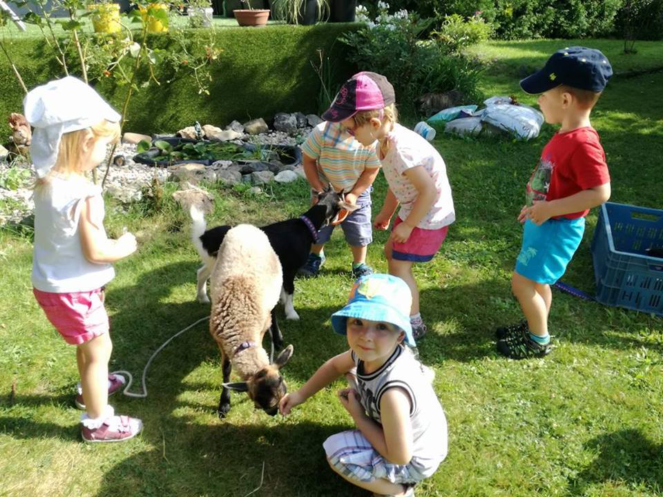 Farmářská školka Skřítek foto 2