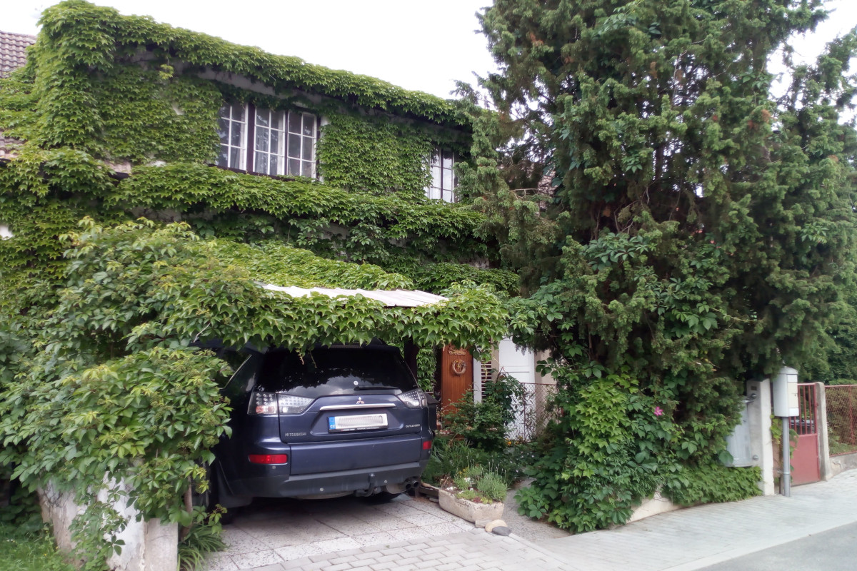 Člověk, finance a budoucnost