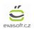 logo ExaSoft Holding