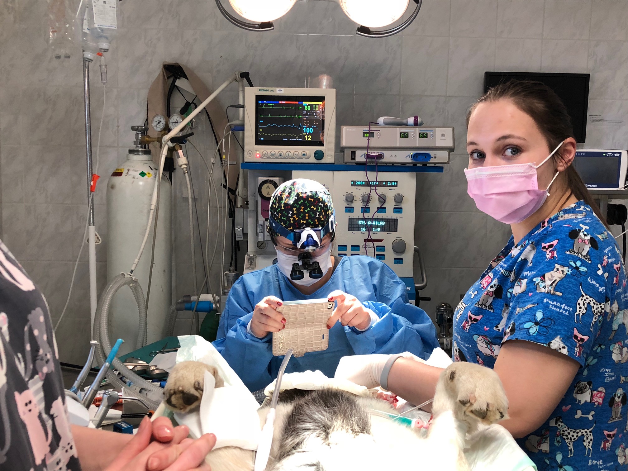 CTVET Veterinární klinika foto 3