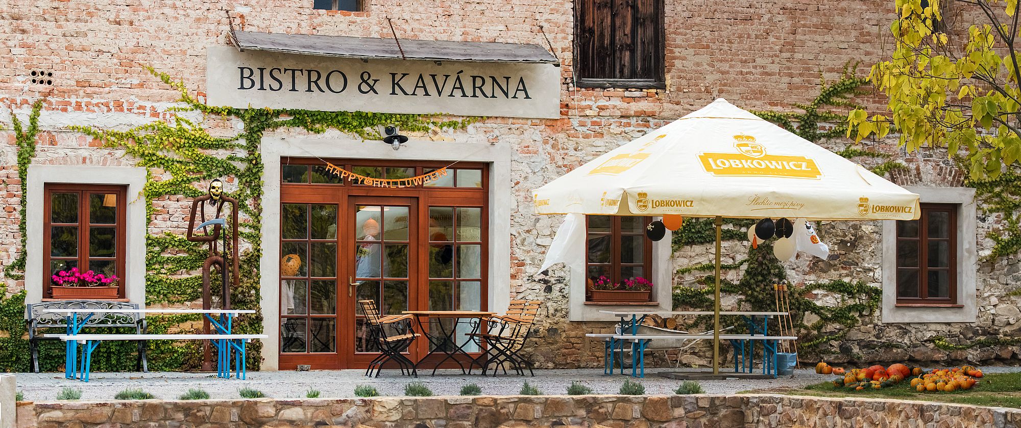 Bistro & Kavárna zámek Svinaře foto 2