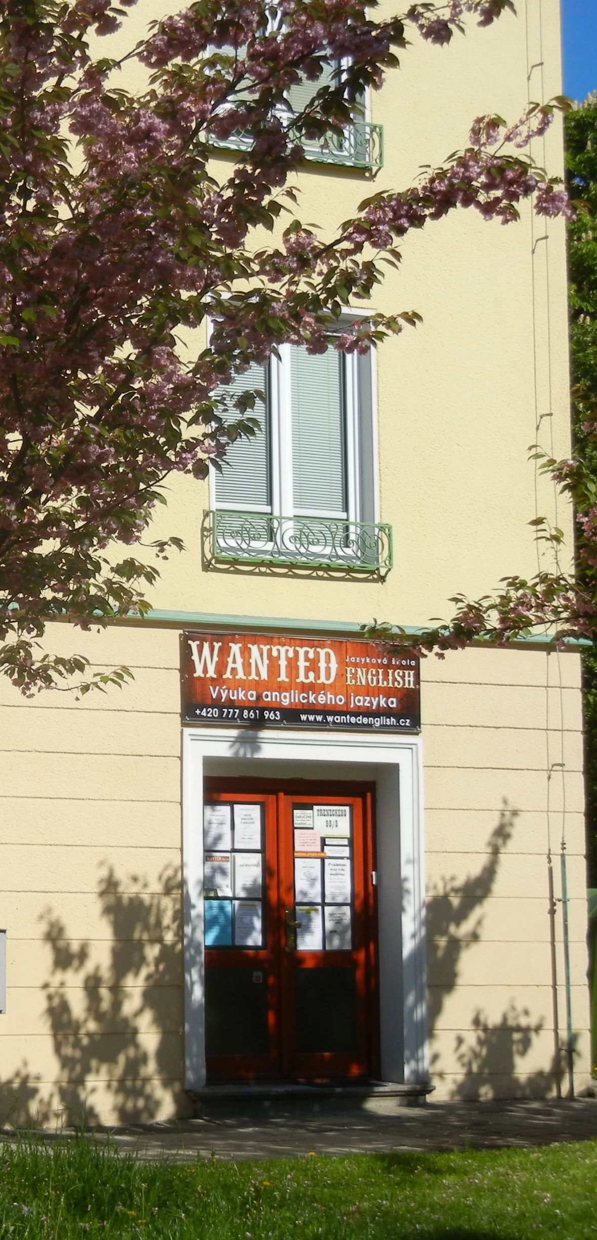 Jazyková škola WANTED ENGLISH v.o.s. foto 4