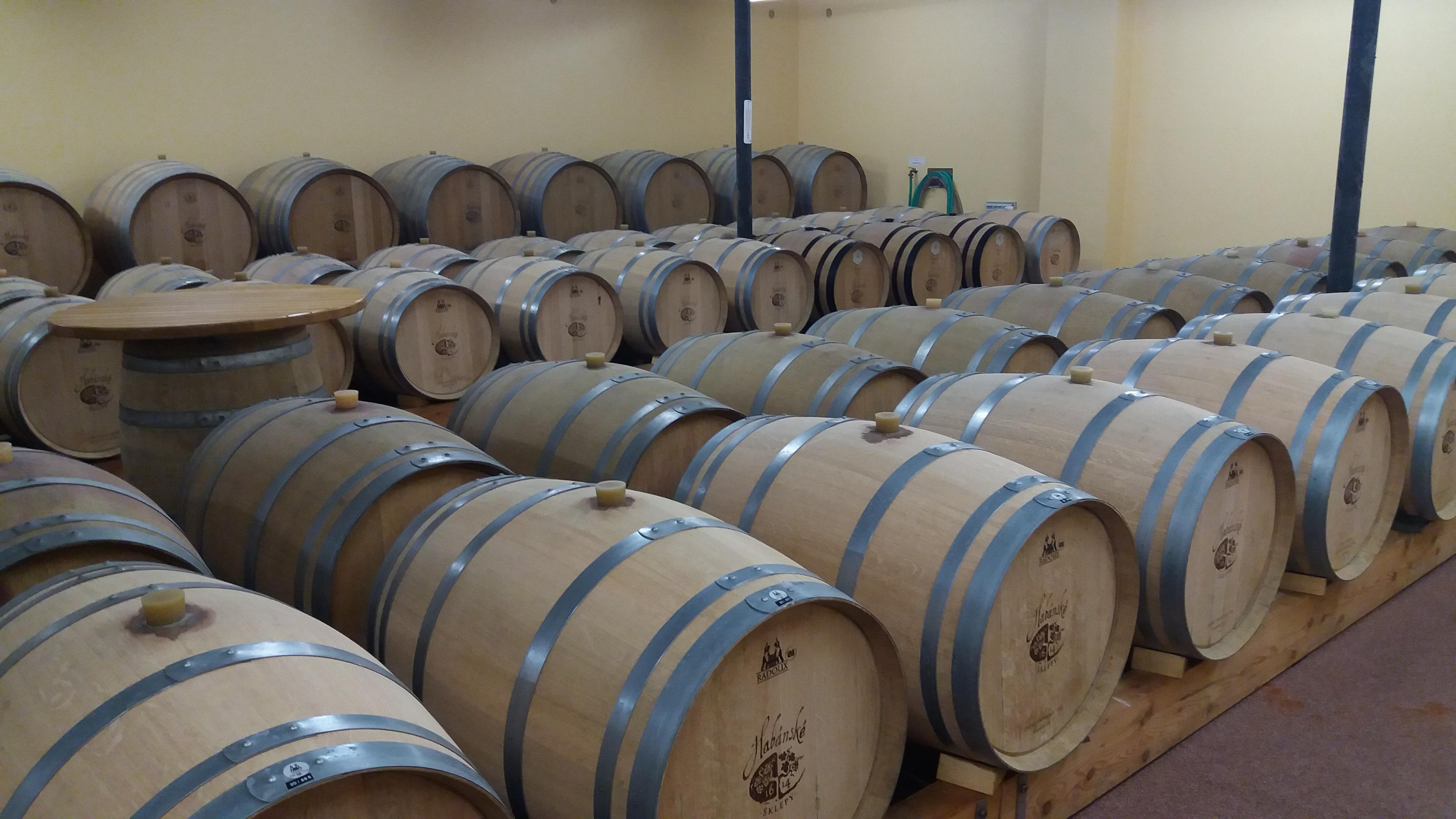 Habánské sklepy - Vinotéka foto 3