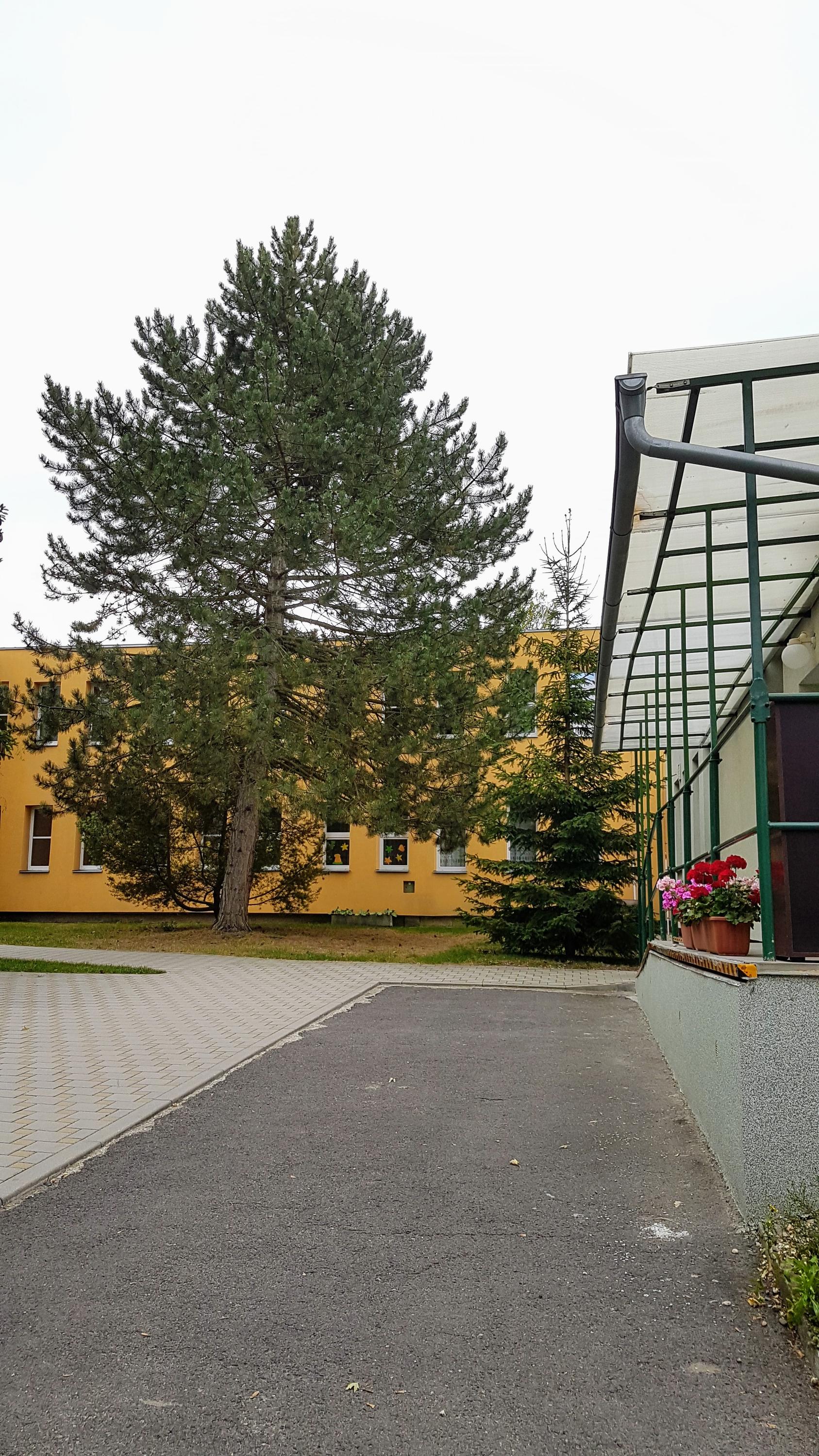 MŠ Louny, Přemyslovců foto 2