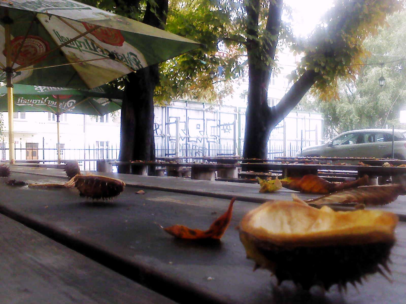 Restaurace Dejvické nádraží foto 3