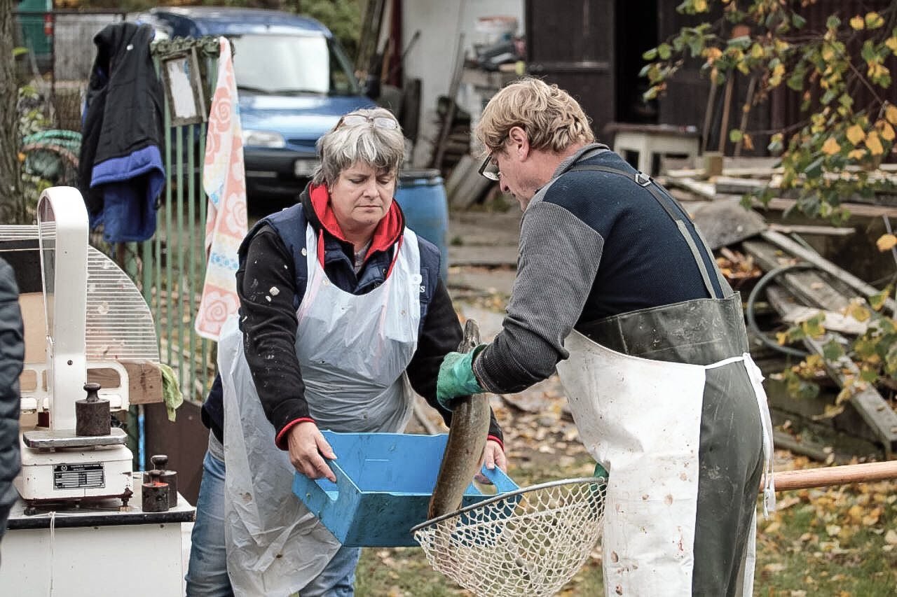 ČRS MO ÚJEZD NAD LESY foto 5