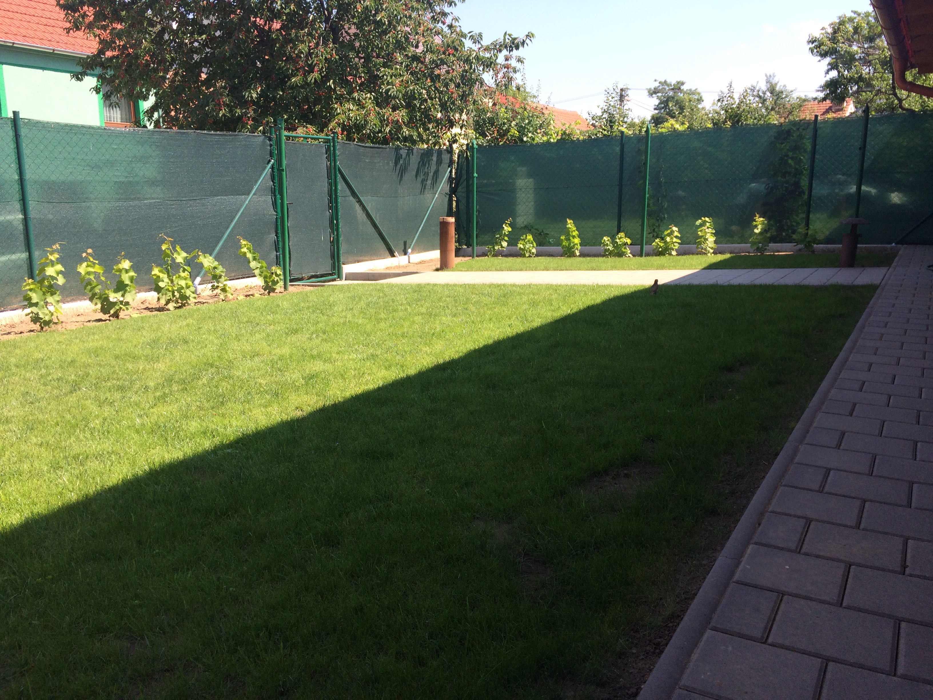 Vinný sklep s ubytováním U Římských foto 2