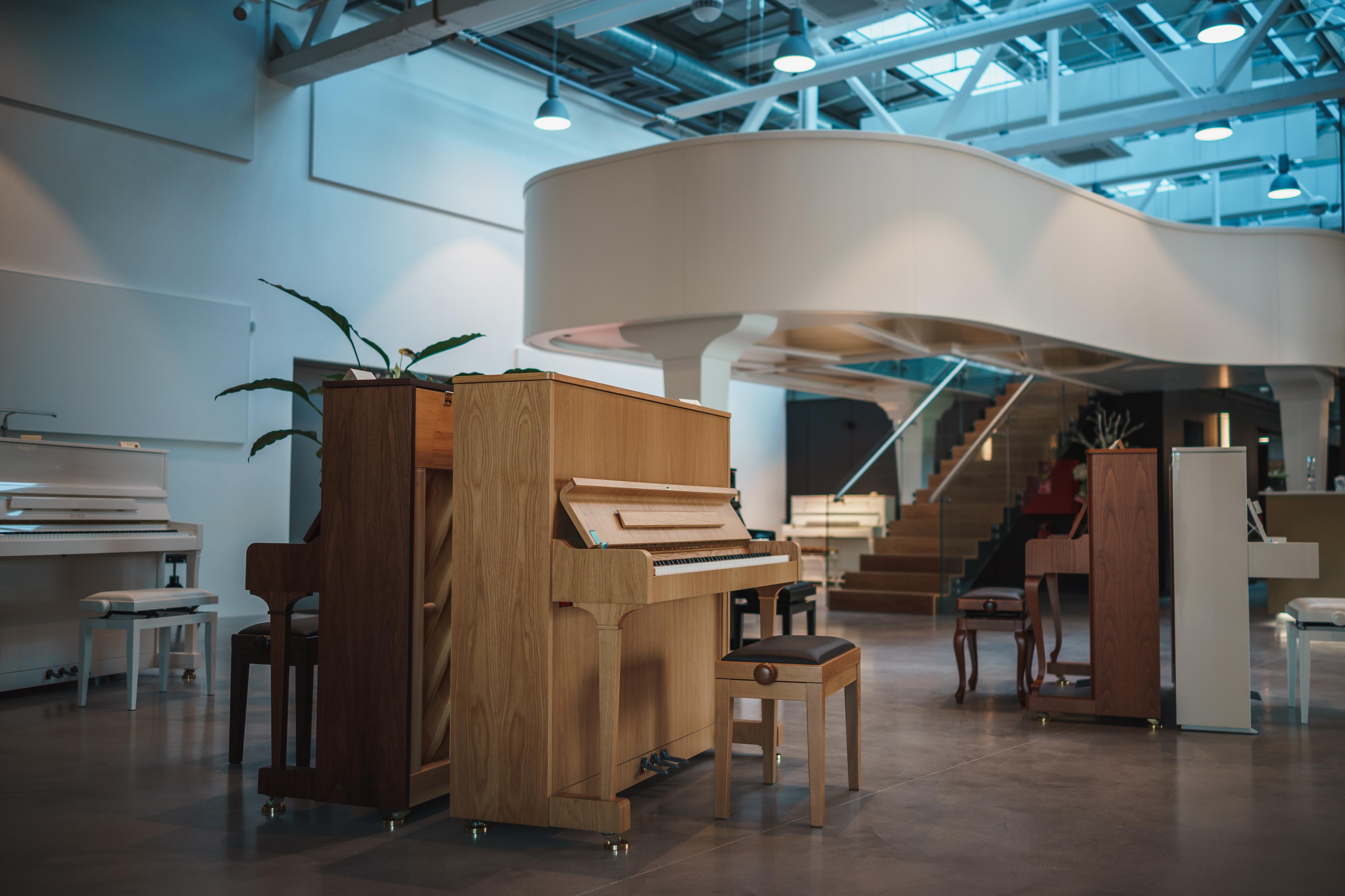 PETROF Gallery foto 3