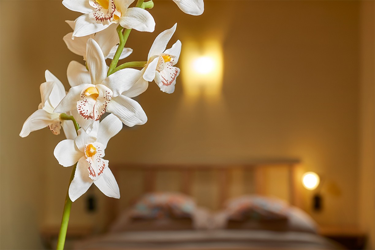 Penzion u Černého kohoutka foto 2