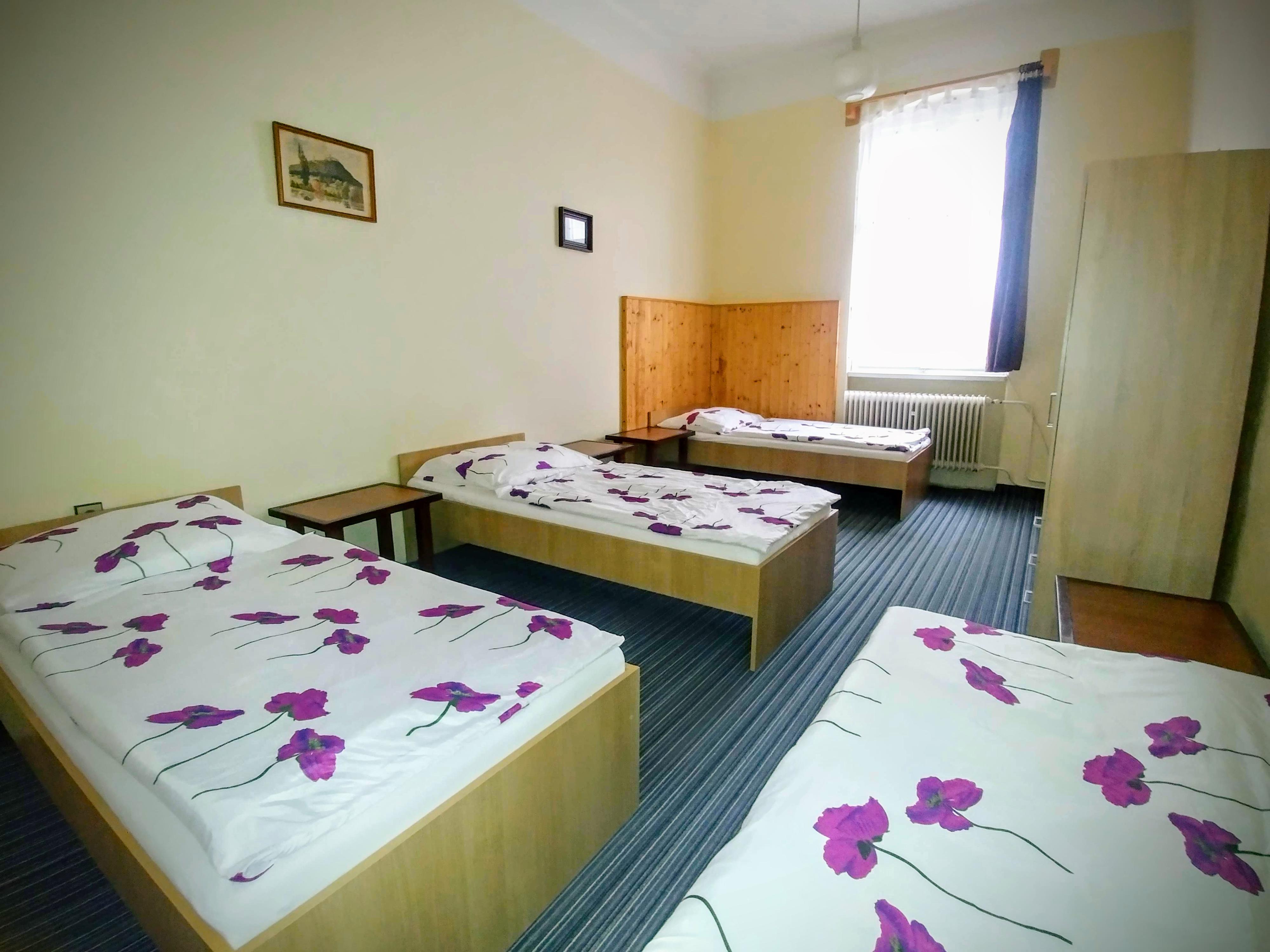 Villa Flora - ubytování v Žatci foto 4