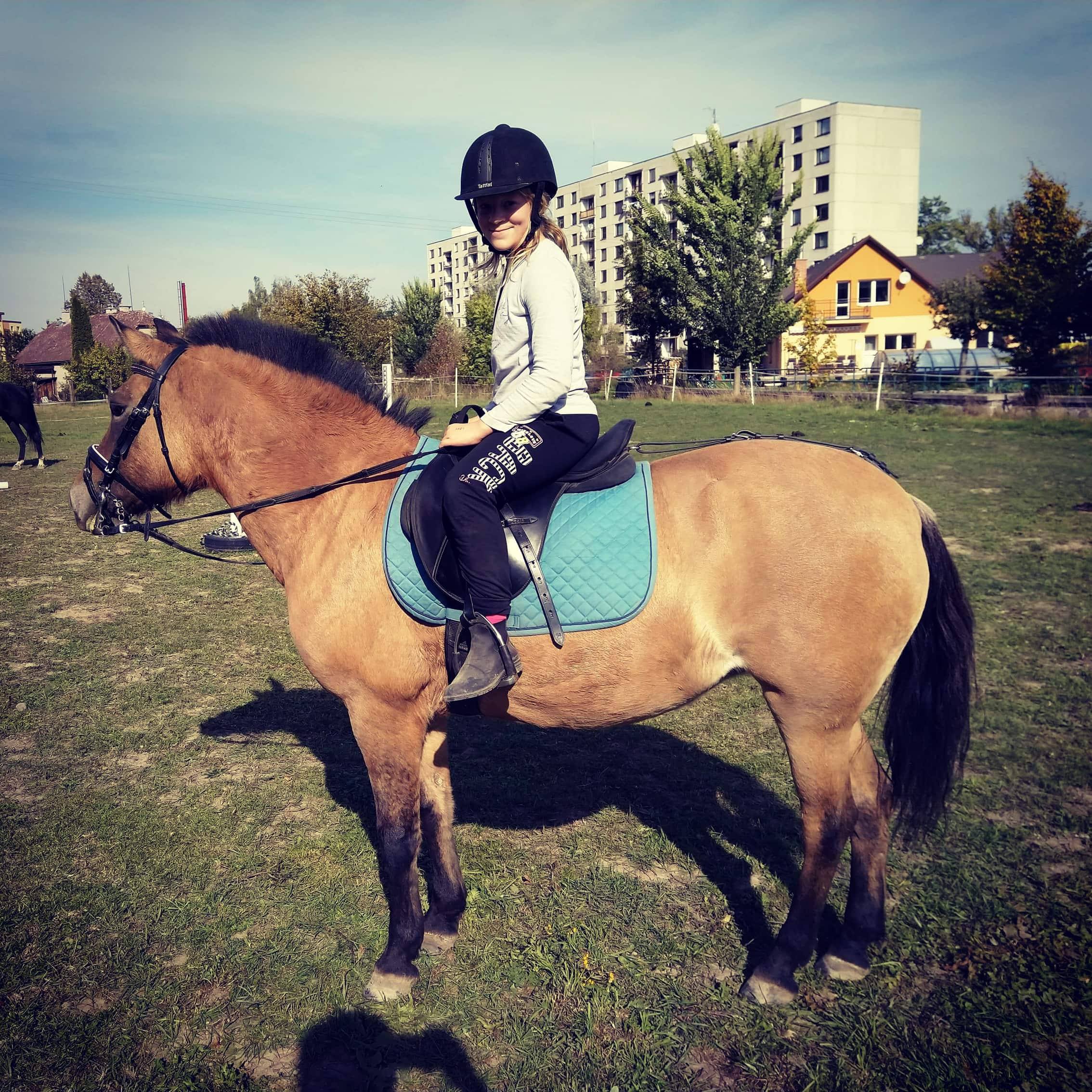 Jezdecká škola U Pinkasů foto 2