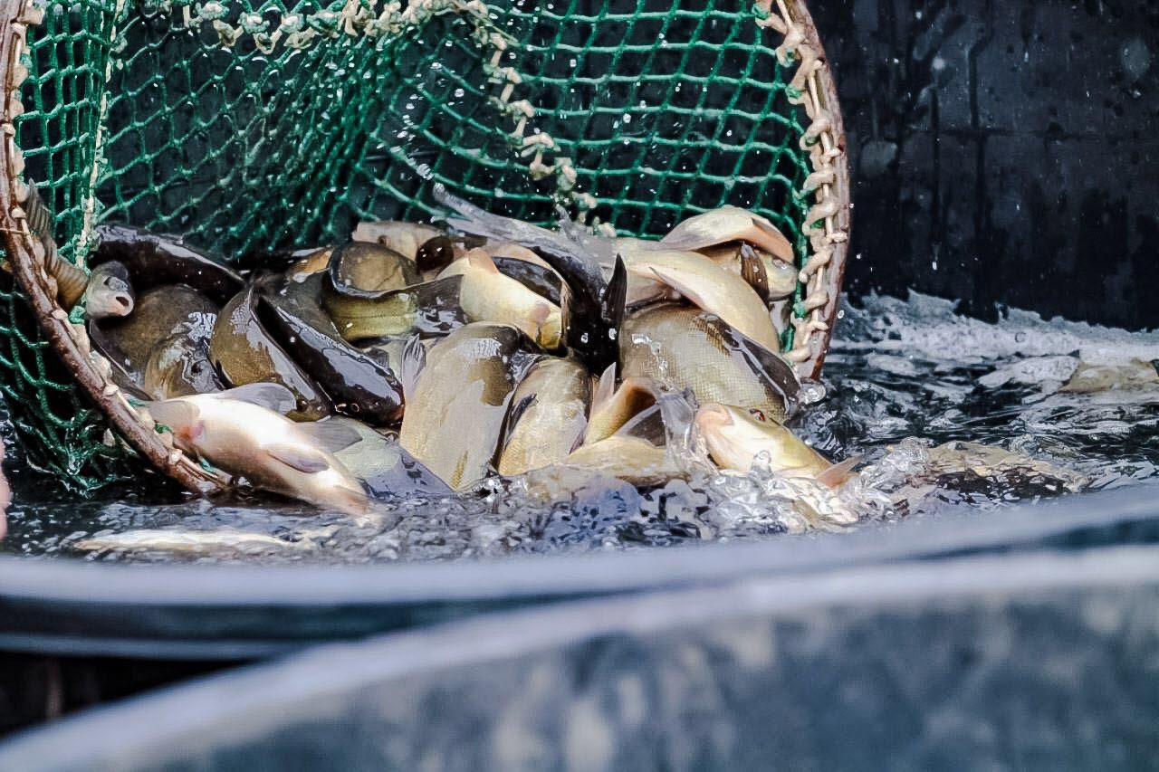 ČRS MO ÚJEZD NAD LESY foto 4