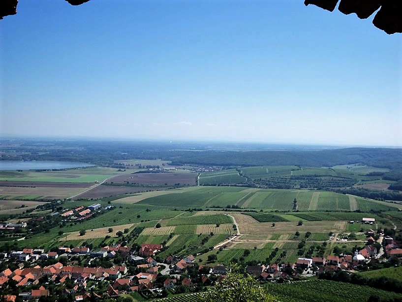 Putování za bobulemi foto 2