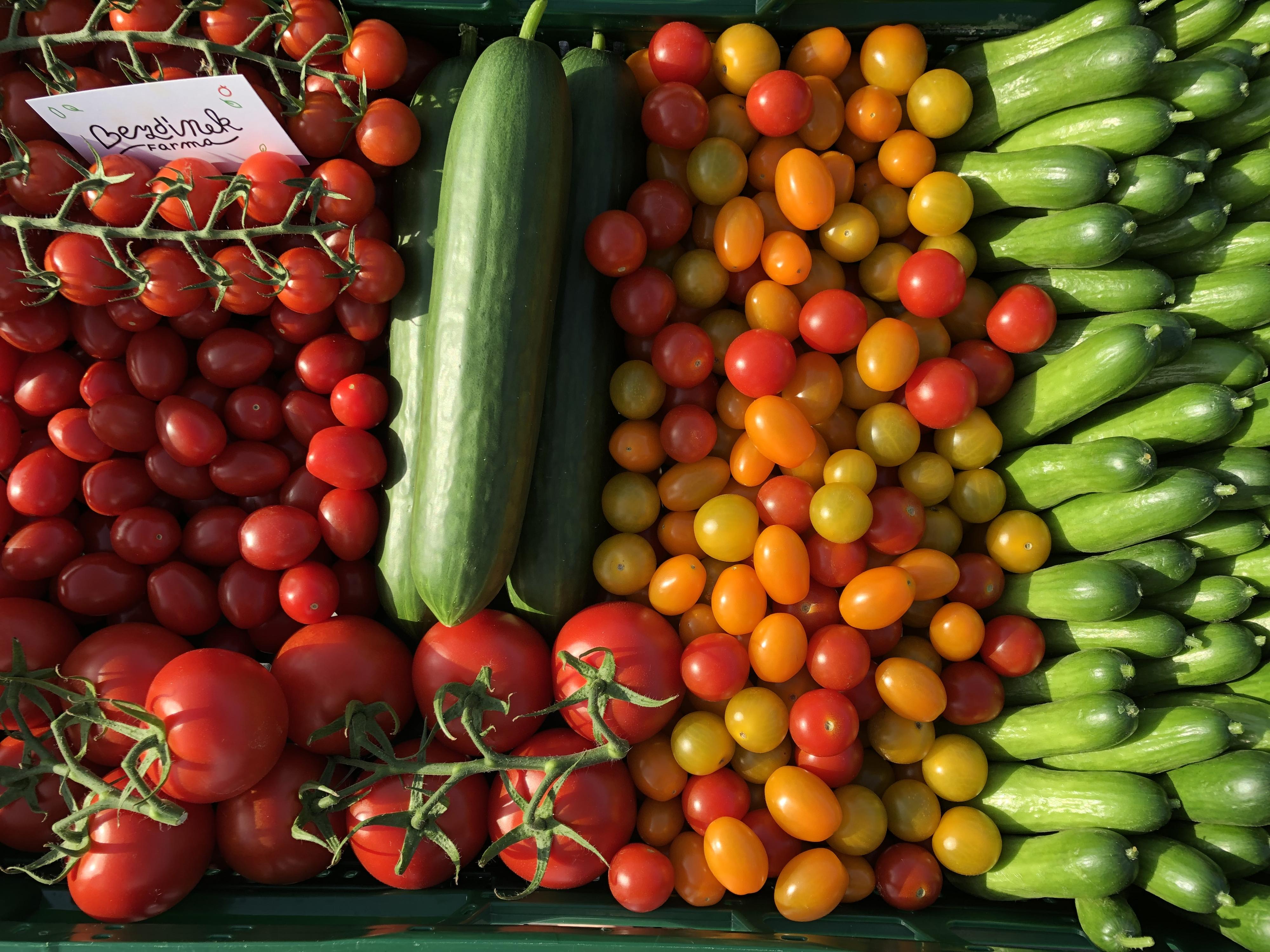 Farma Bezdínek foto 5
