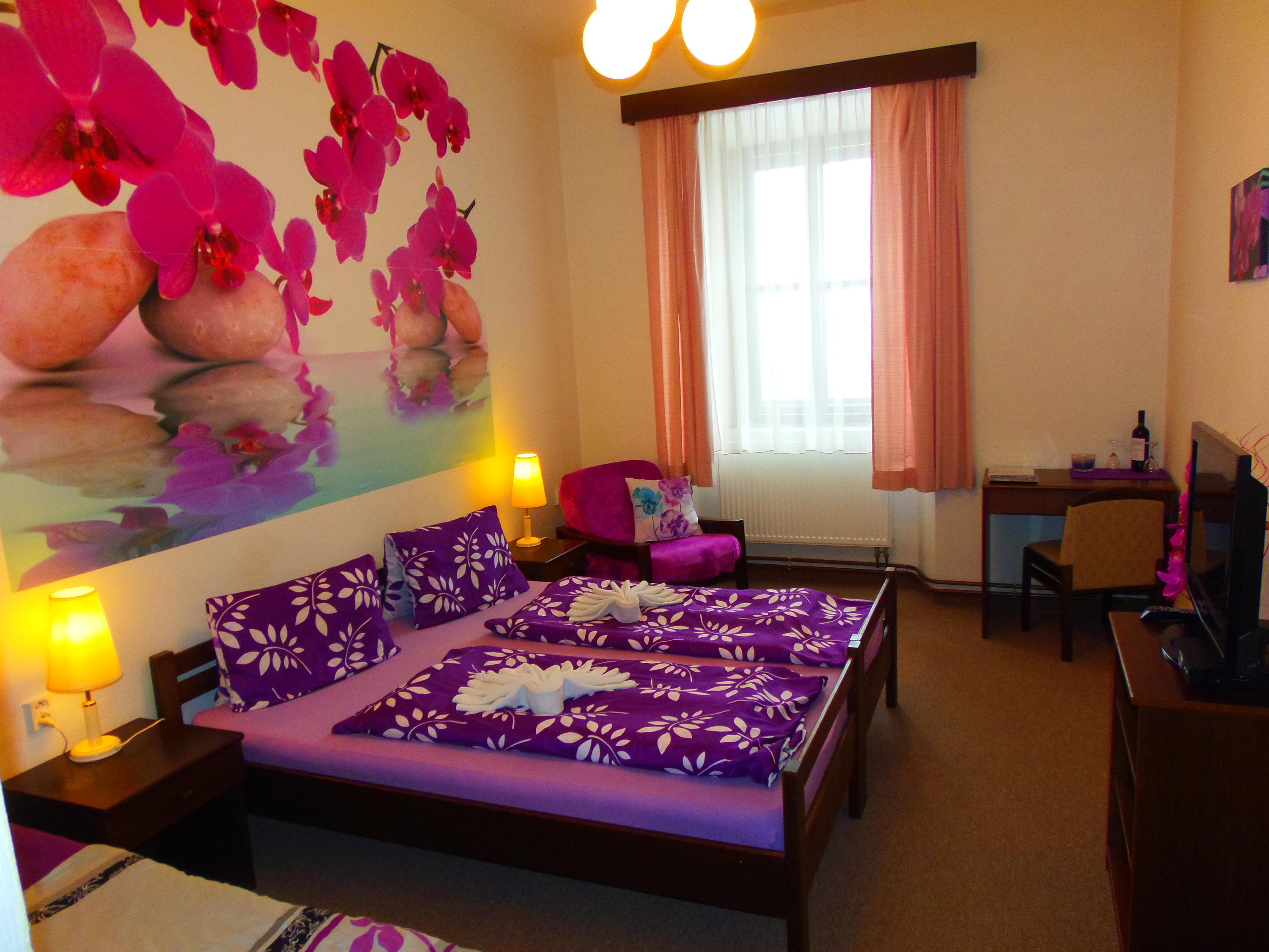 Hotel Hořice Stará škola foto 4