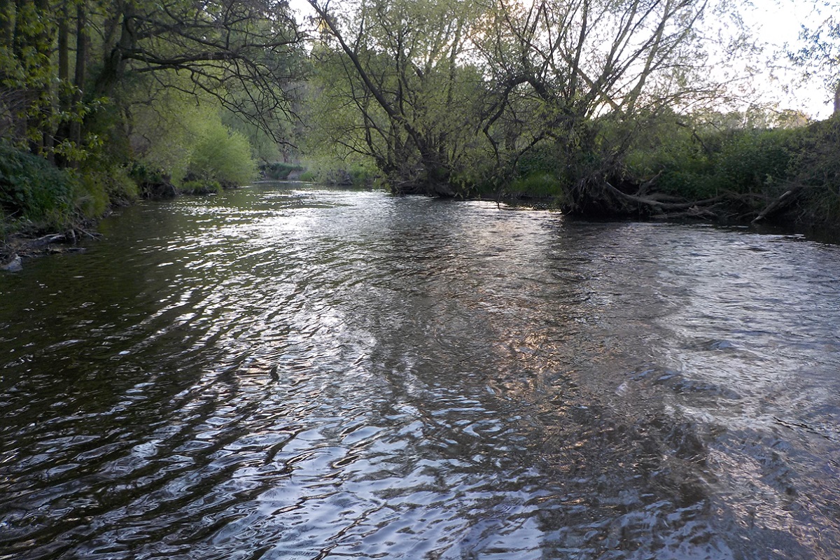 Český rybářský svaz, místní organizace Choceň