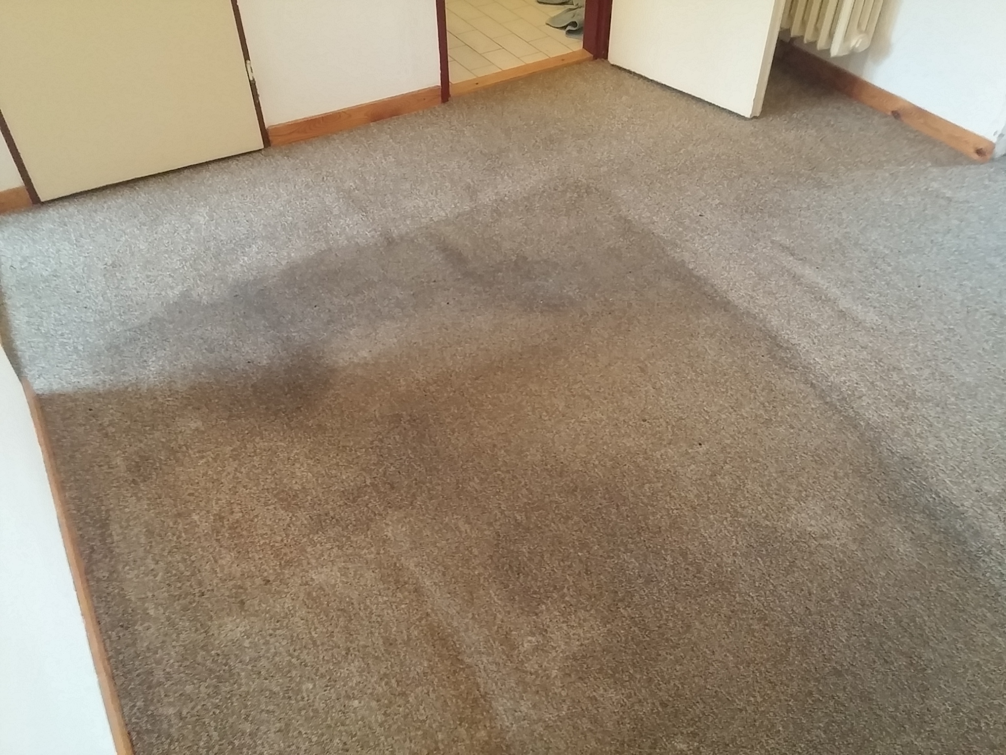 Boček - čištění koberců a sedaček foto 2