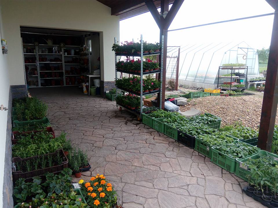Zahradnictví Florana foto 4