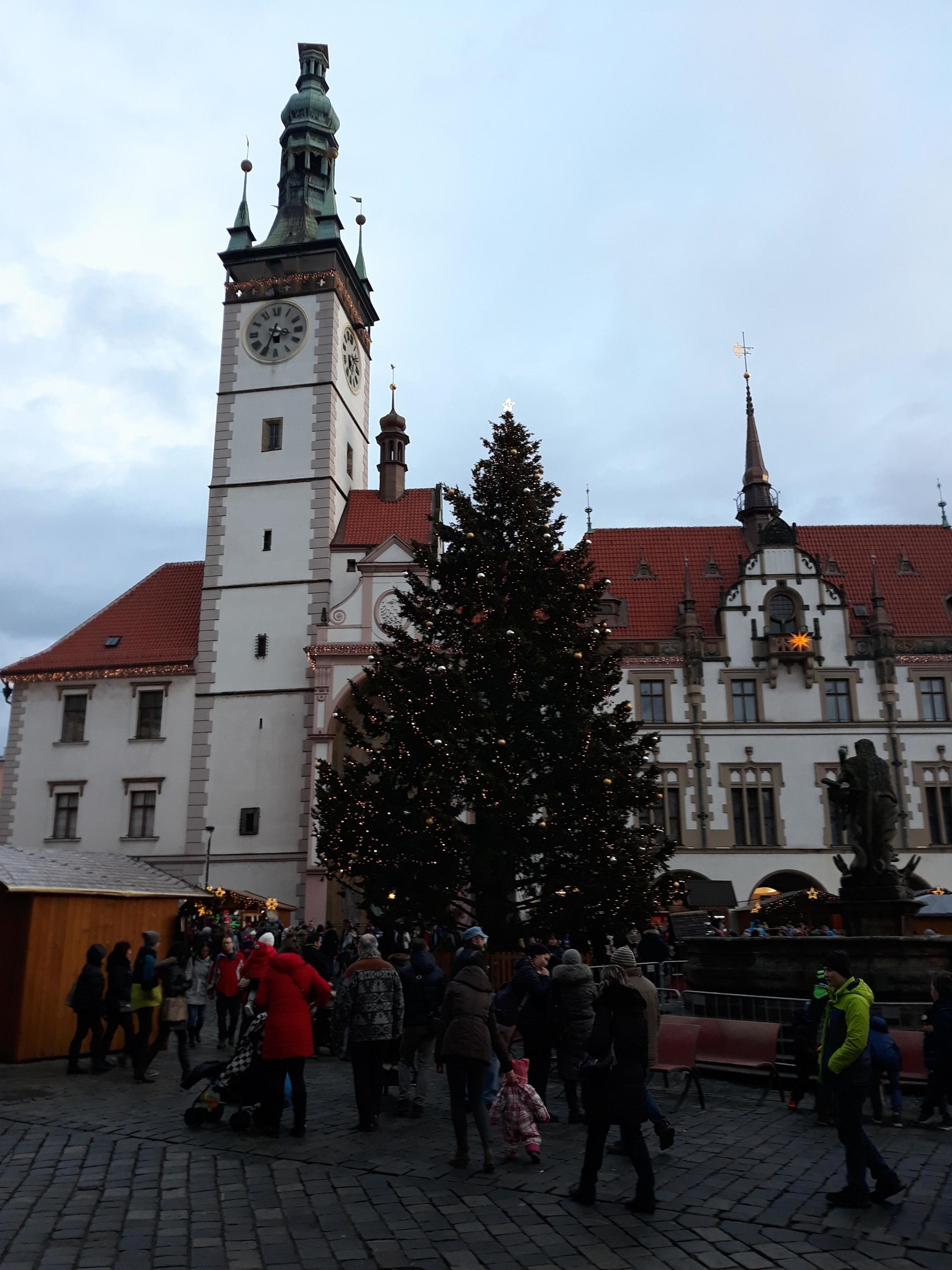 Magistrát města Olomouce foto 3