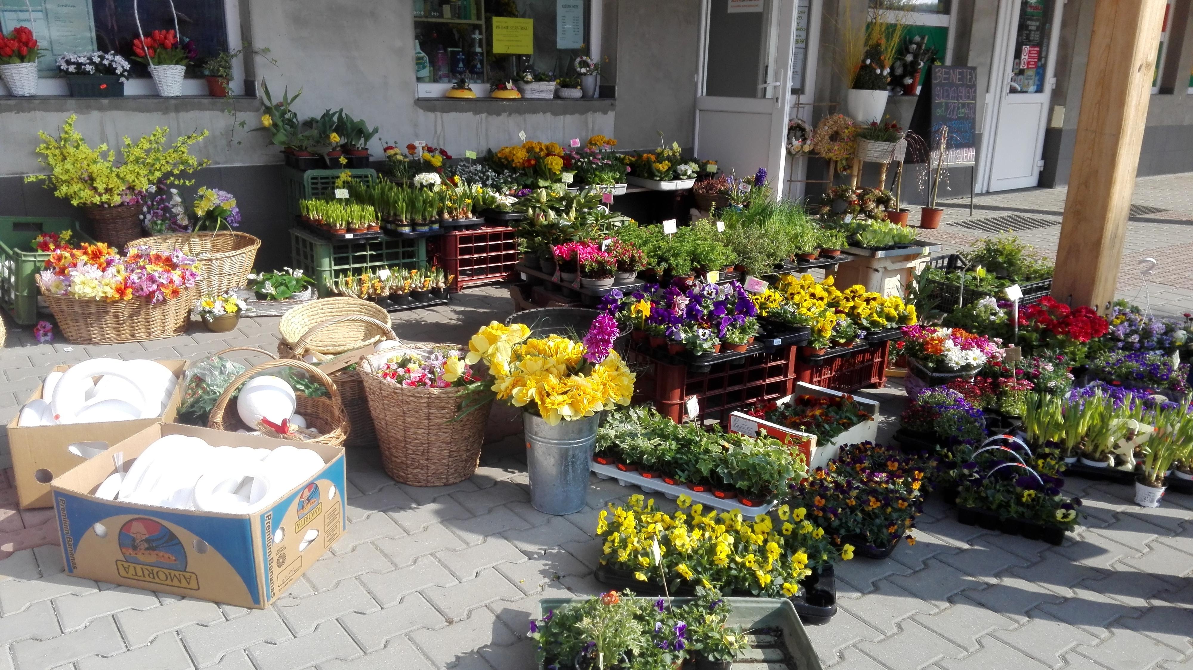 Květiny Iveta Uhlířová foto 3