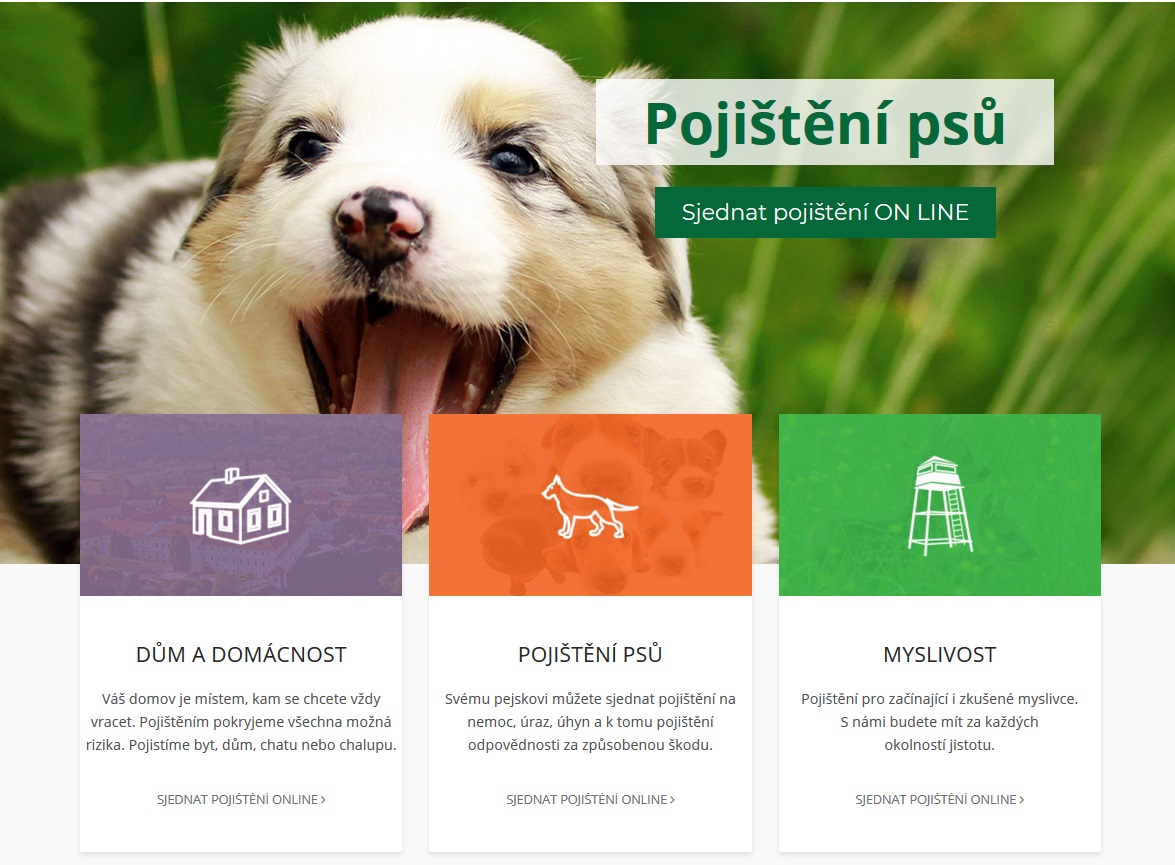 HALALI, všeobecná pojišťovna a.s. foto 3