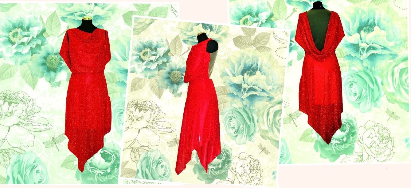 Zolo's Atelier foto 2