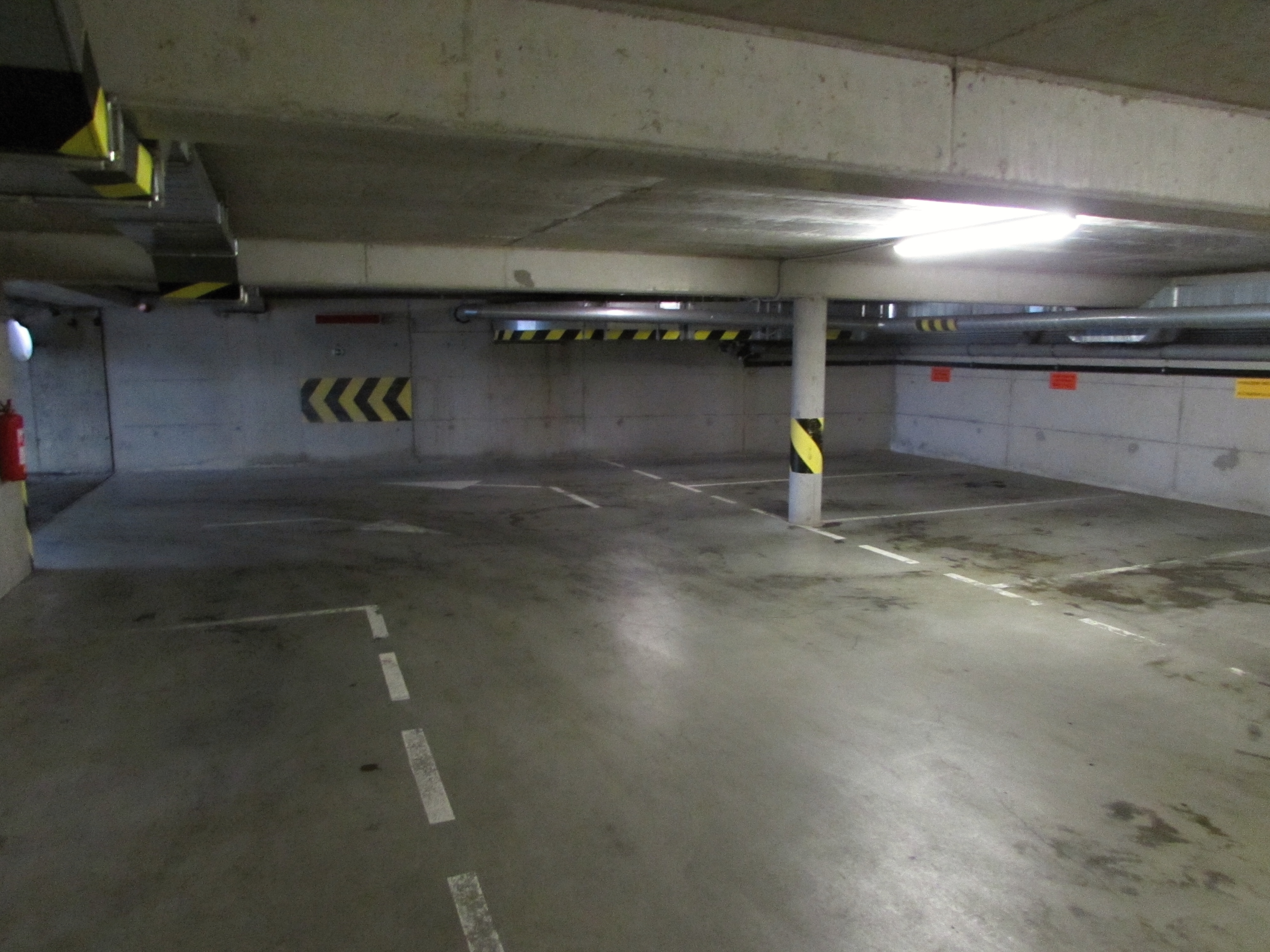 Bc. Petra Dočekalová foto 4