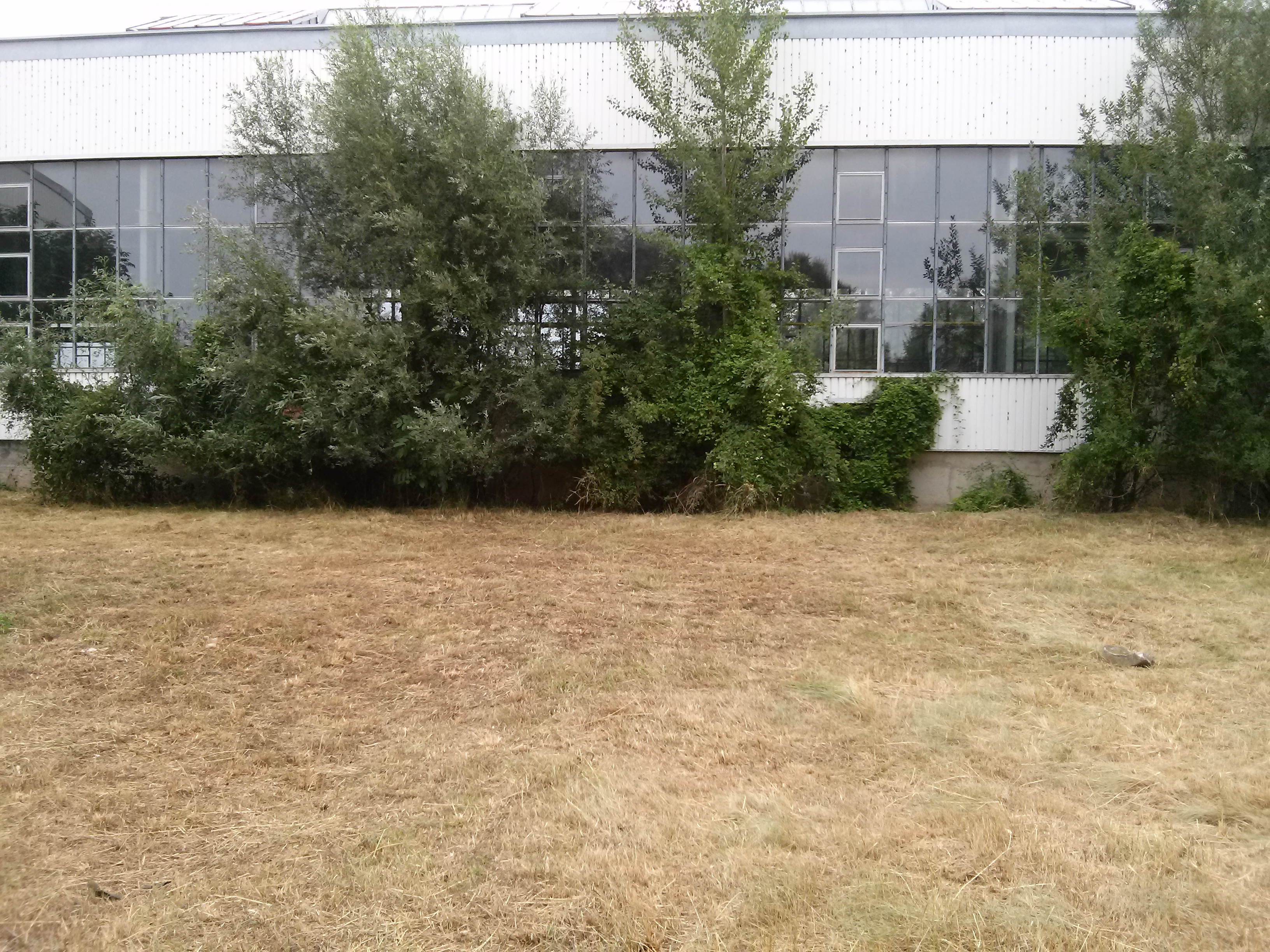 Sekání trávy - Vít Ďoubal foto 2