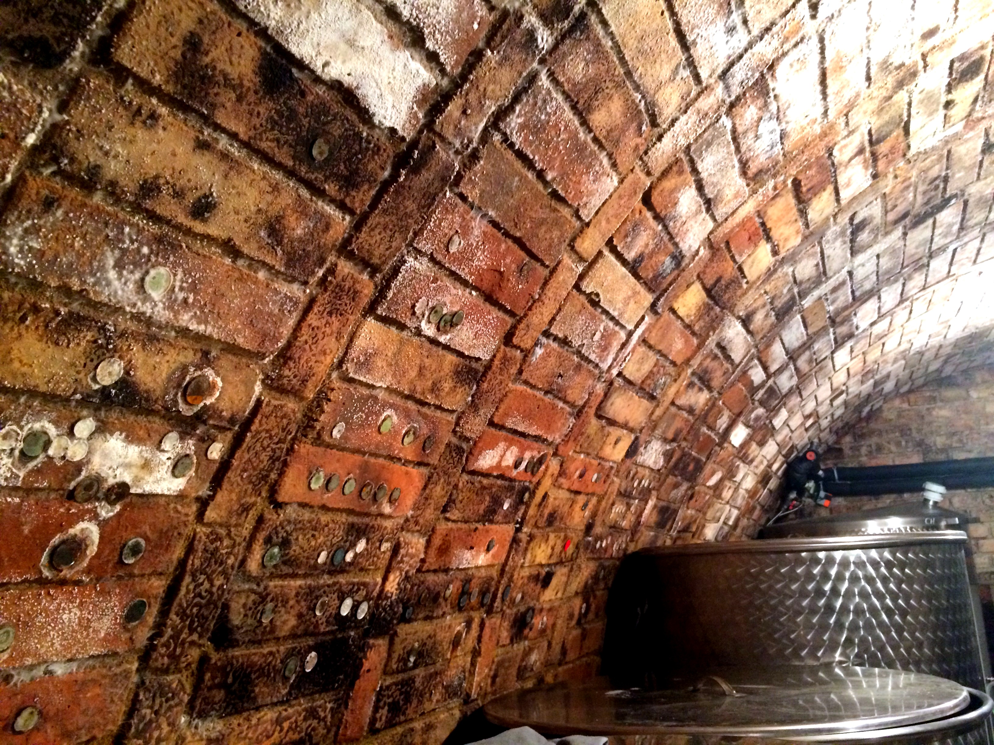 Sklípek v Šakvicích - Vinařství Aurora foto 4