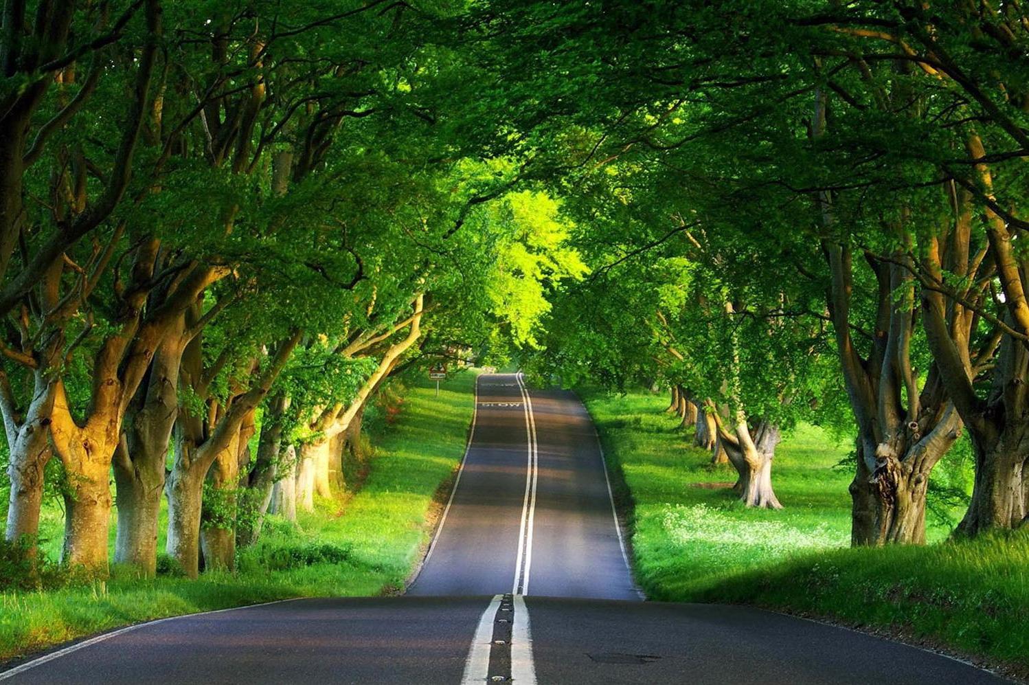 Tomas Korpa - Propertors®