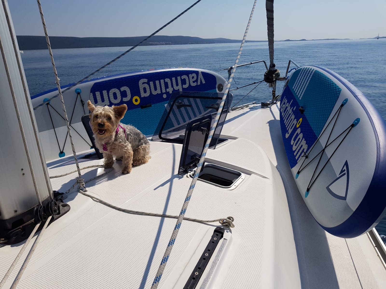 yachting°com foto 2