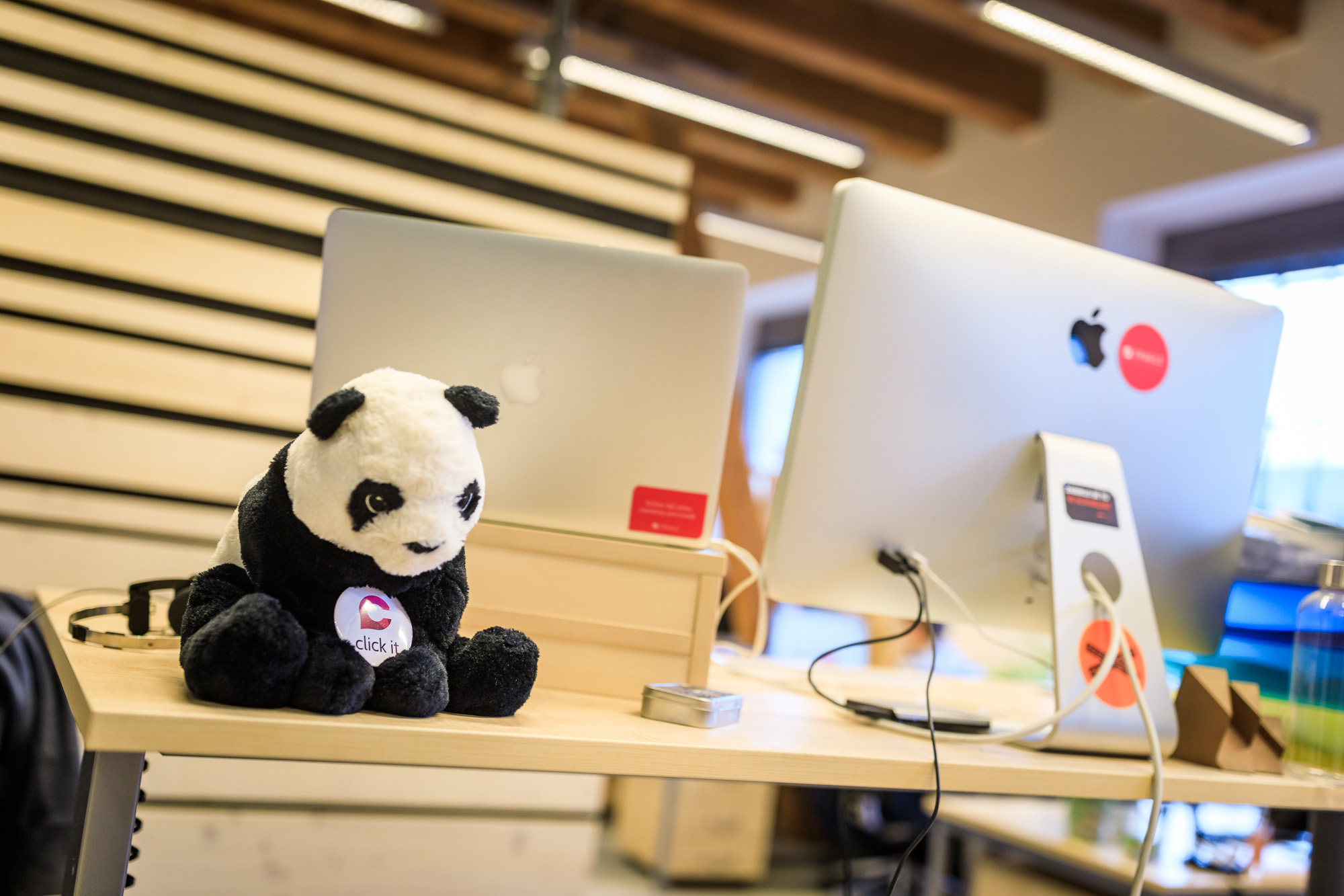 Fragile media s.r.o. foto 3