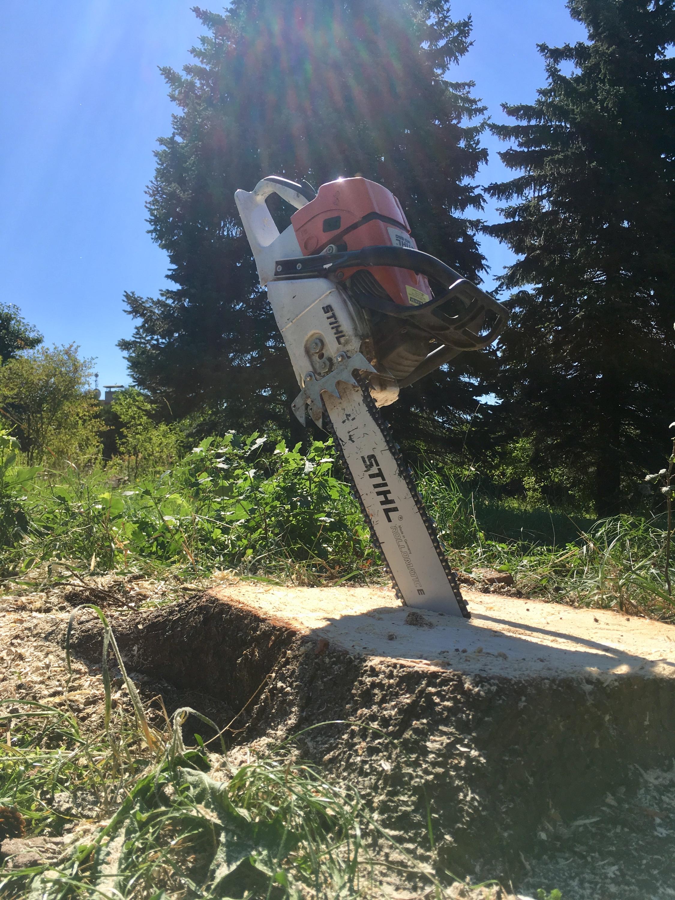 TREEZI Tomáš Zich foto 3