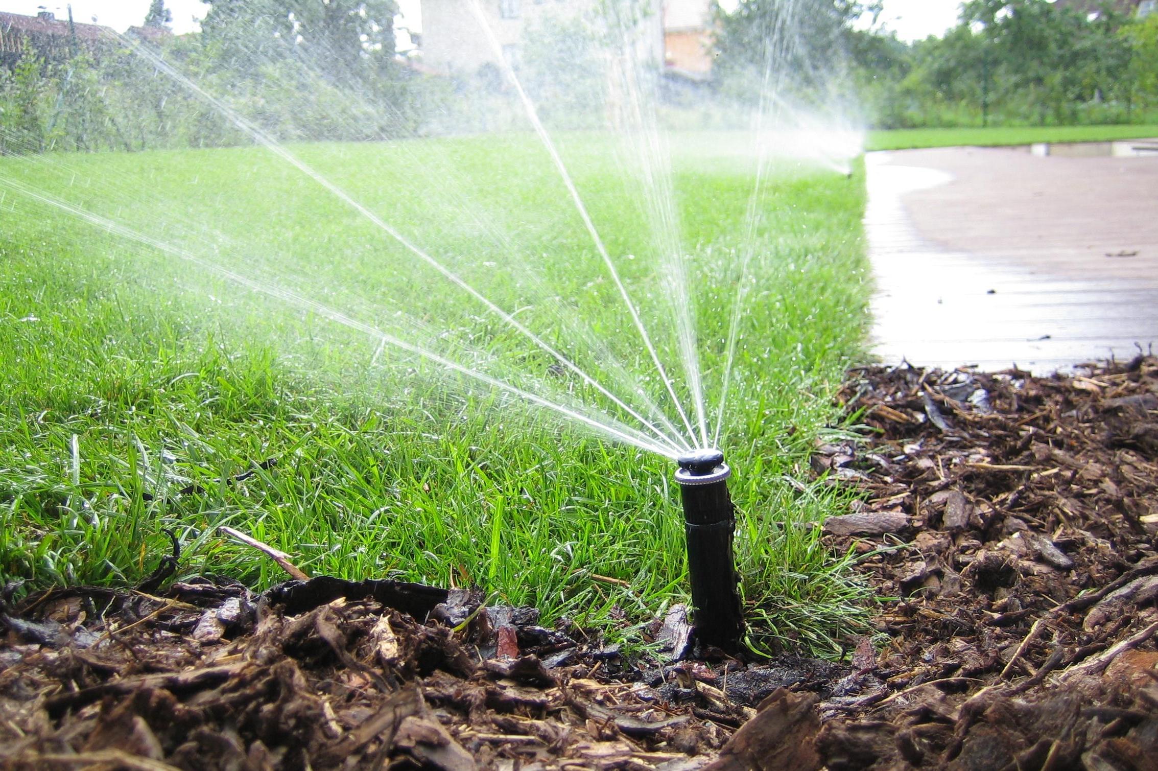 GRENEX - travní koberce